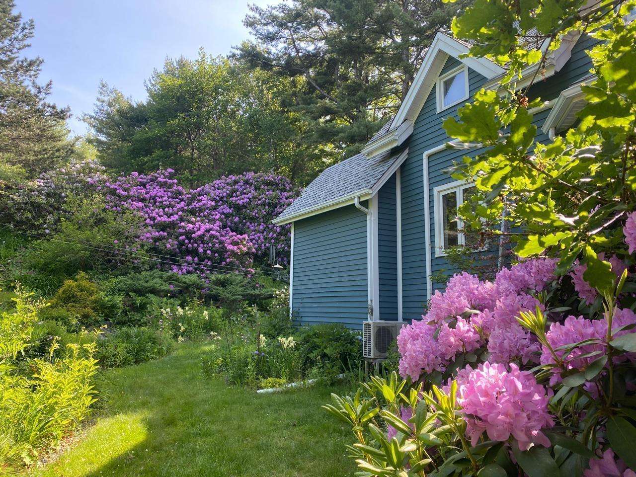 View image 21