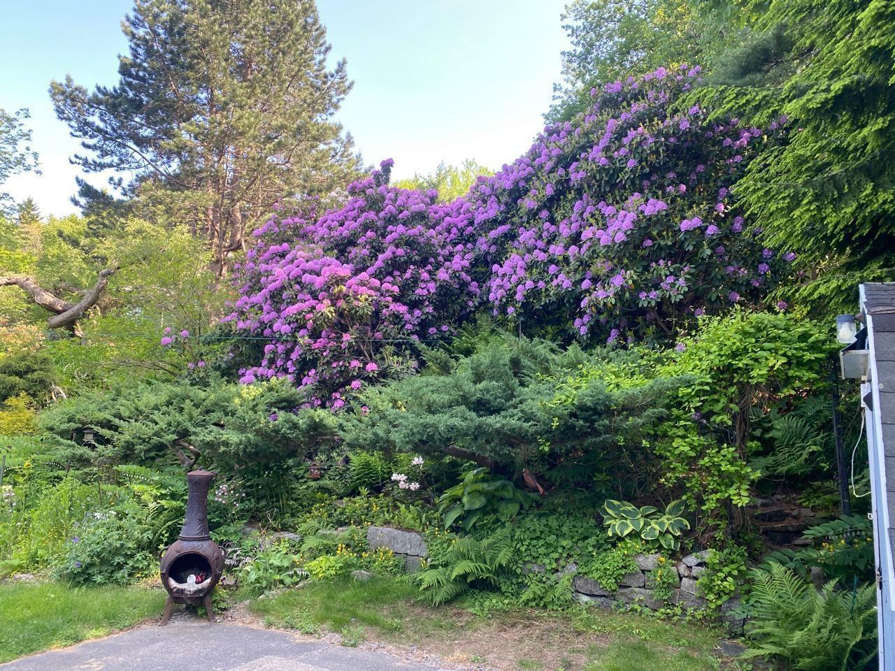 View image 22