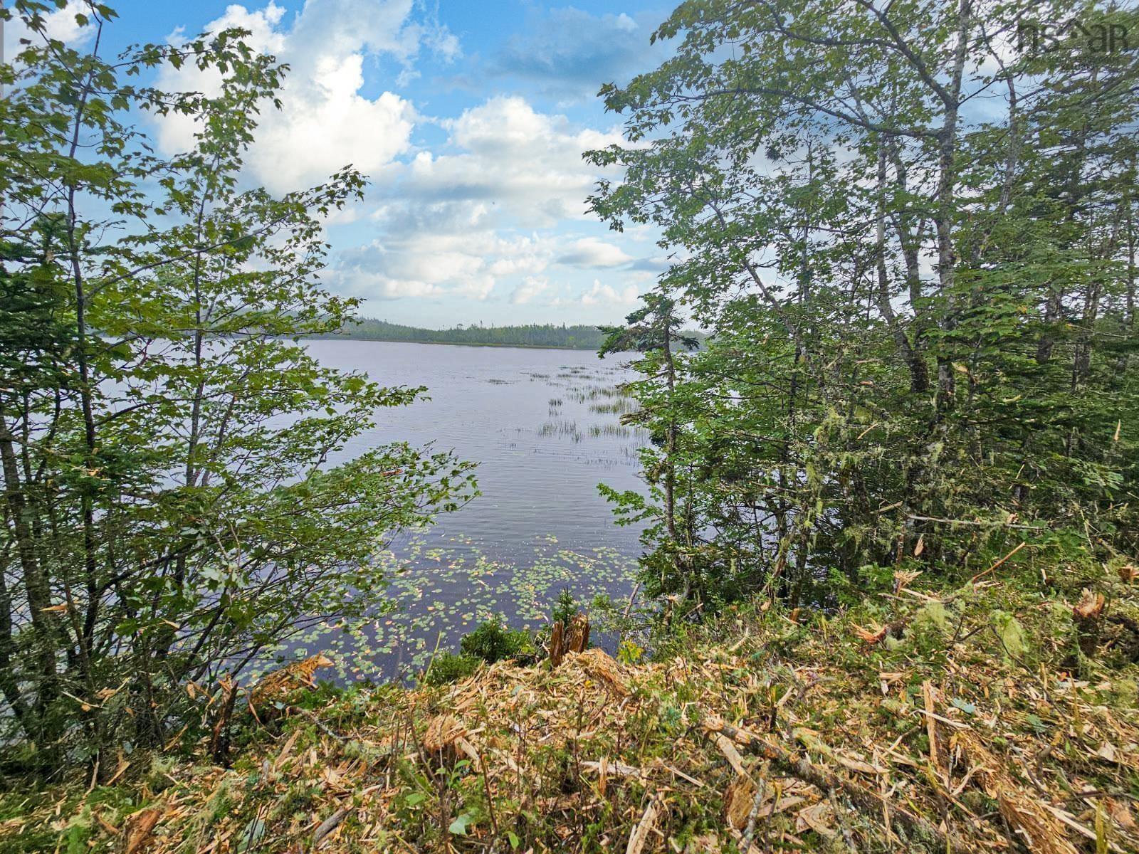 View image 4