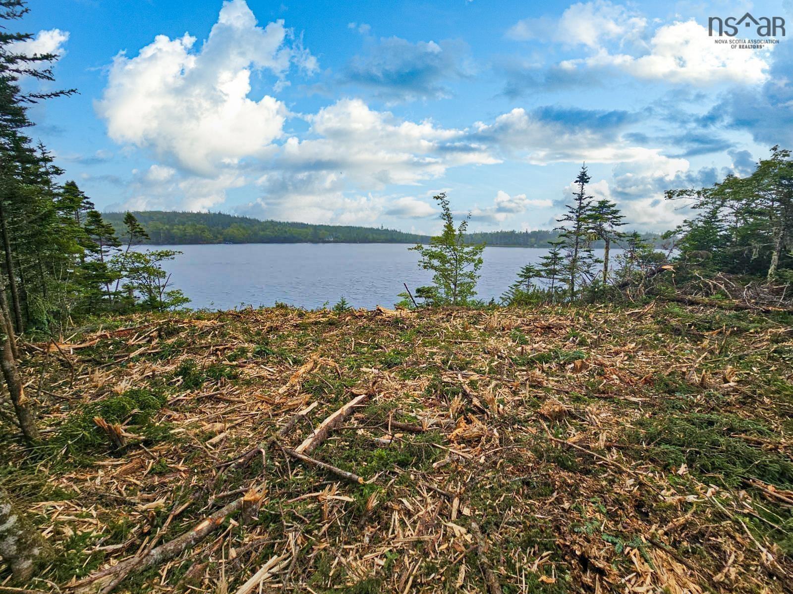 View image 5
