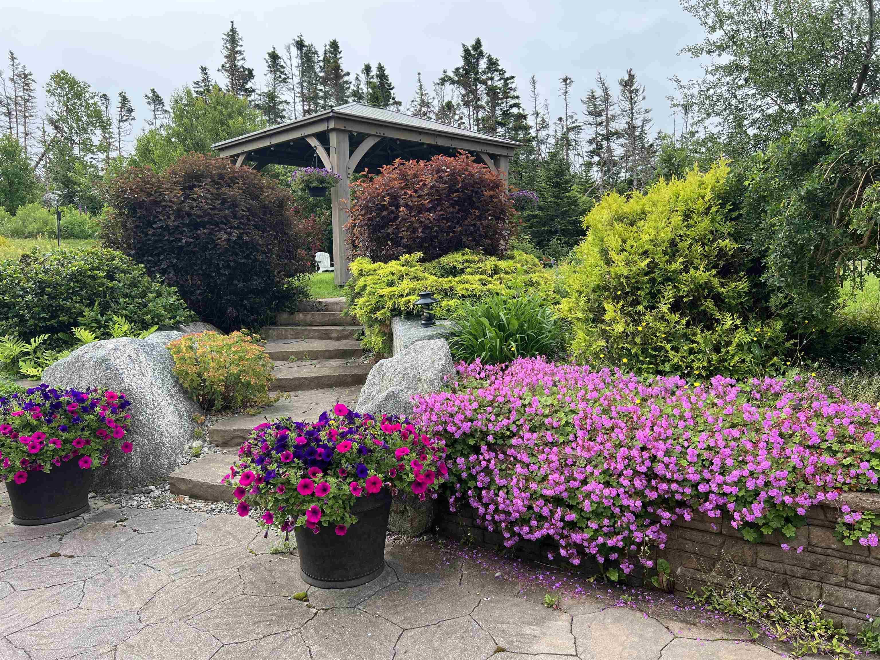 View image 11