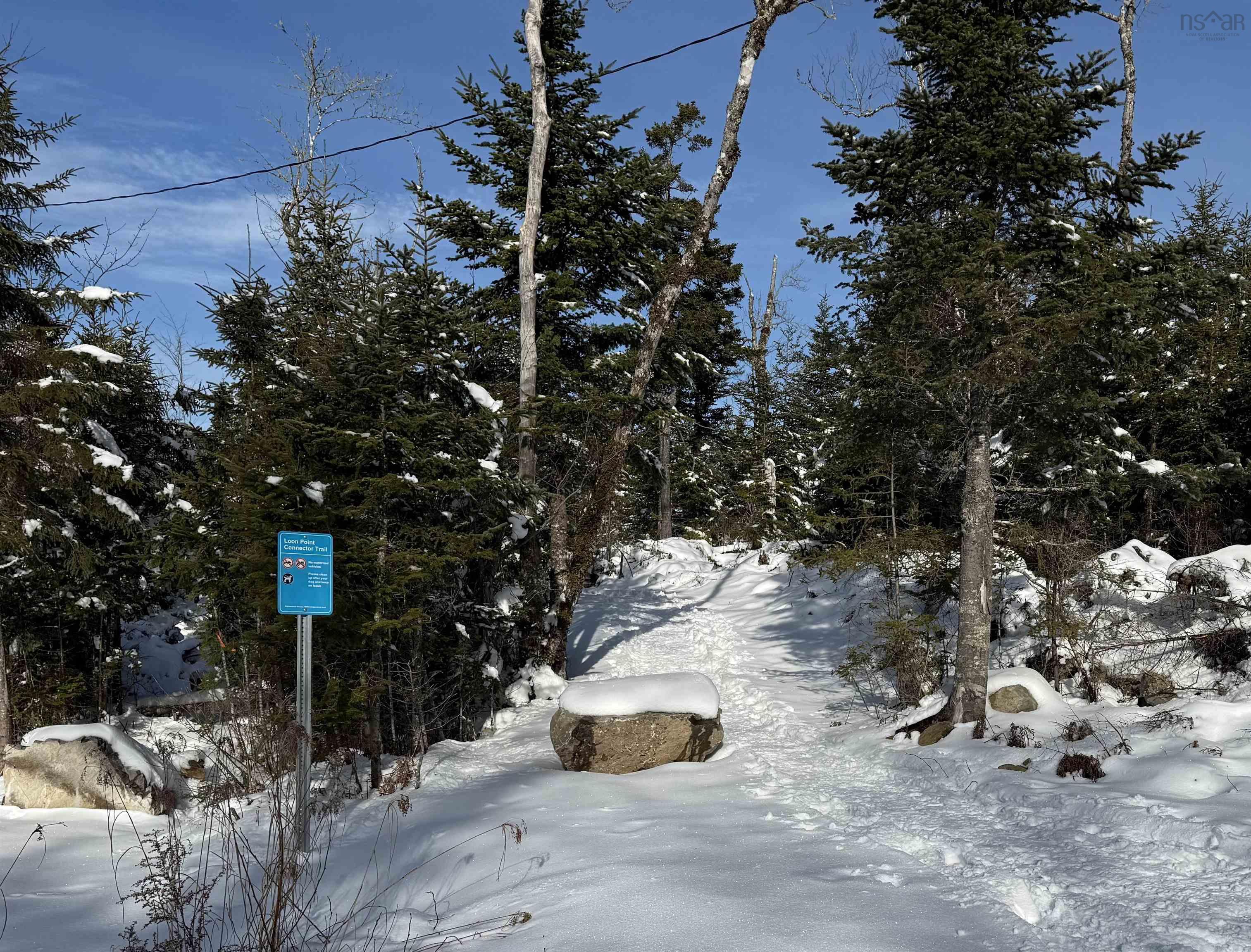 View image 11