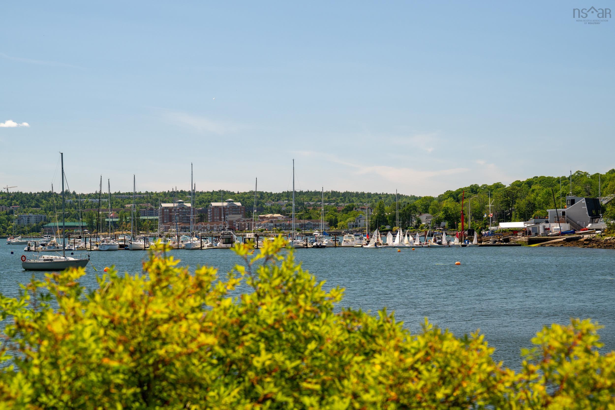 View image 15