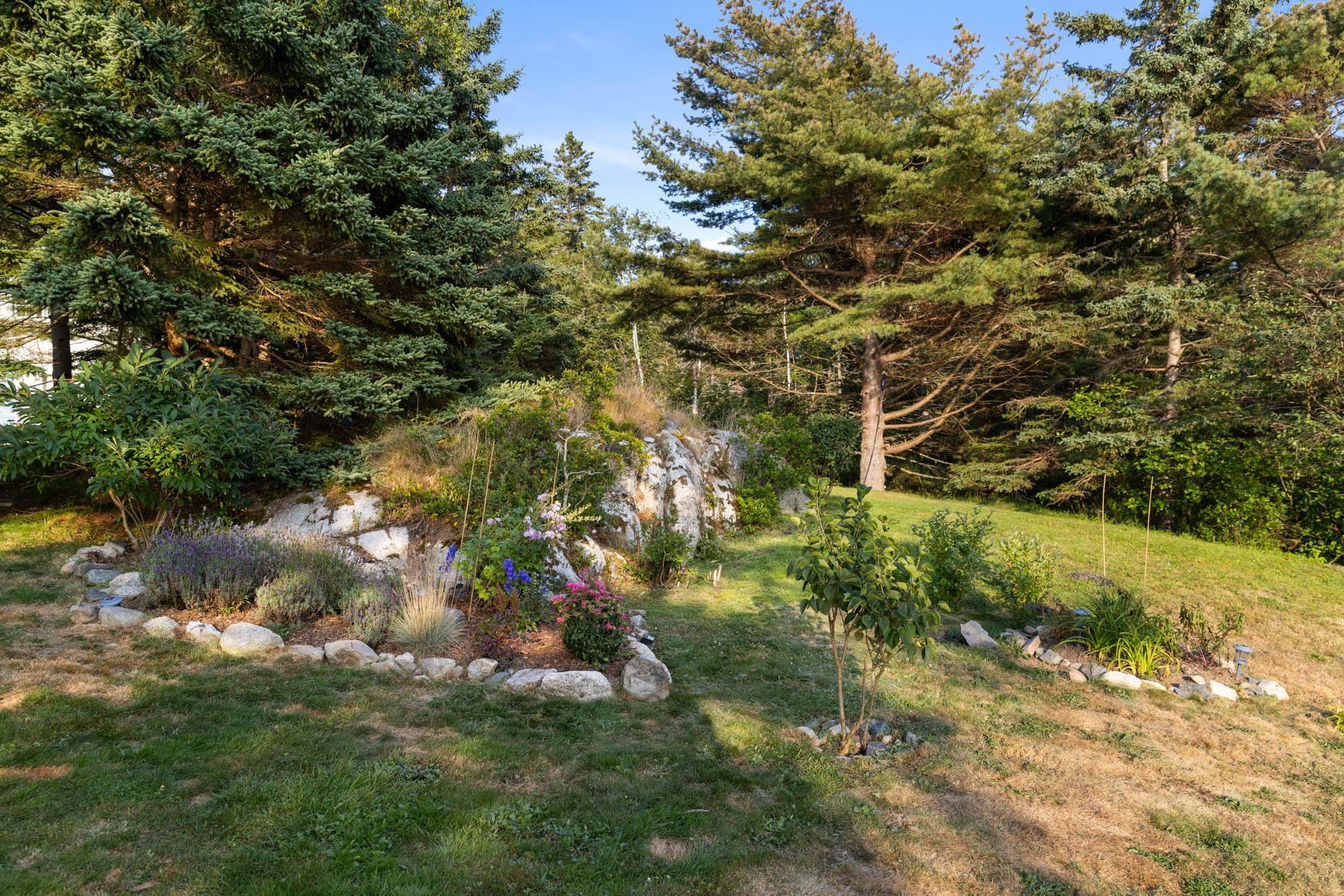 View image 19