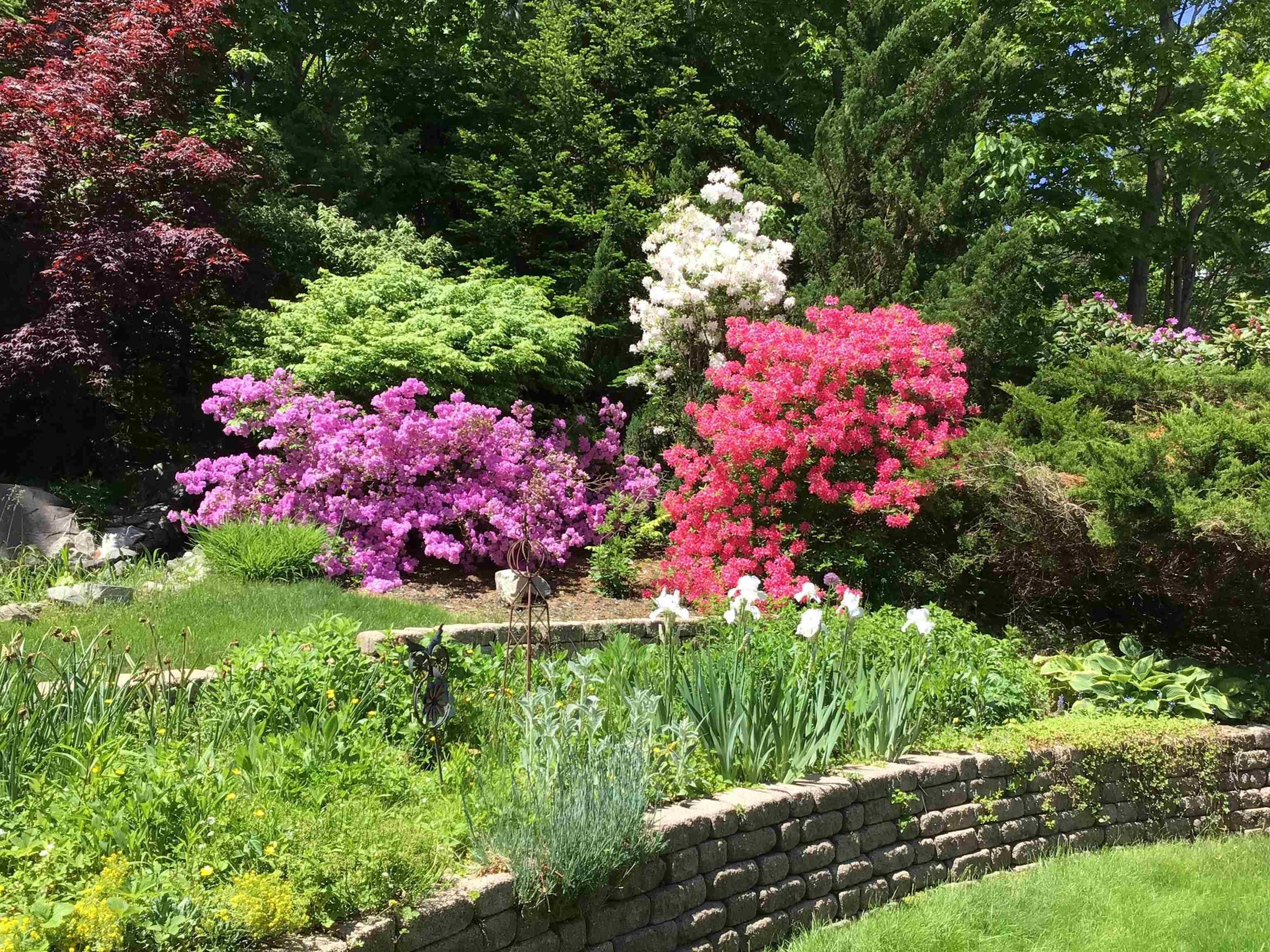 View image 22