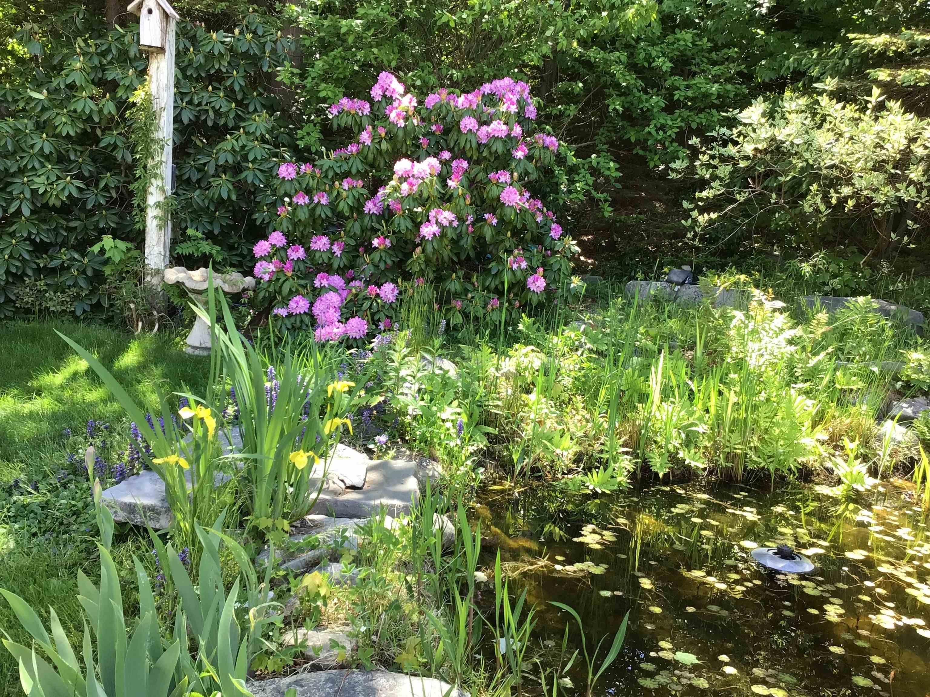 View image 24