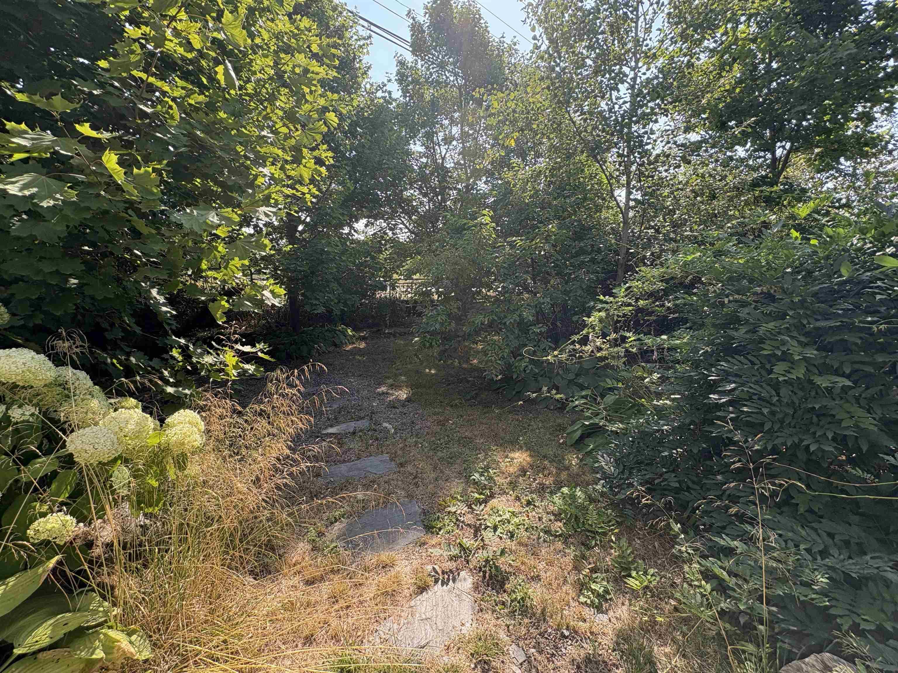 View image 28