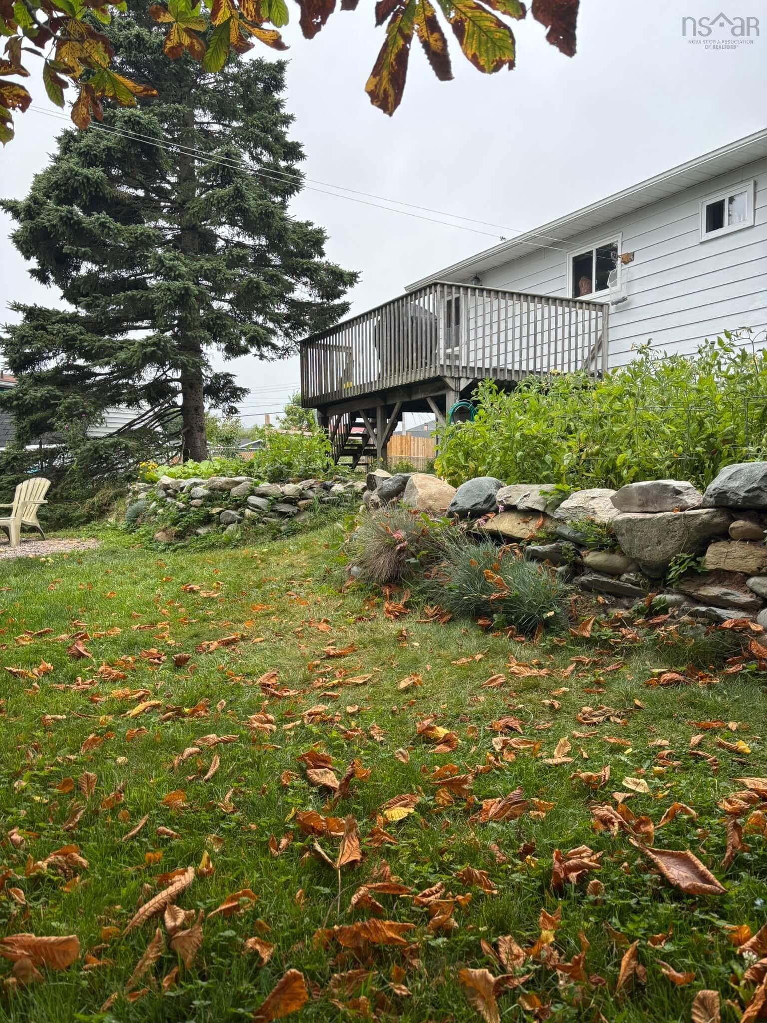 View image 11