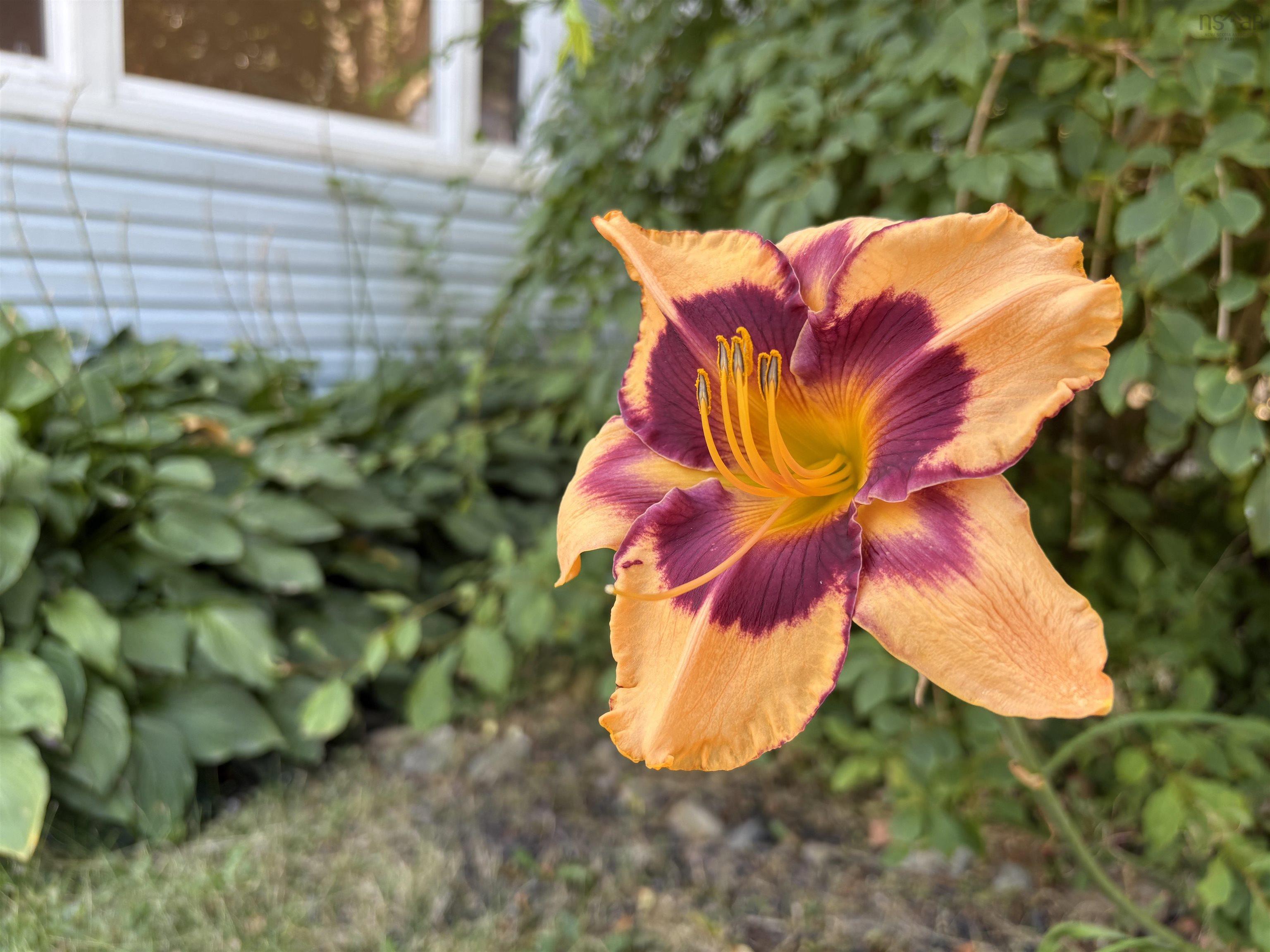 View image 27