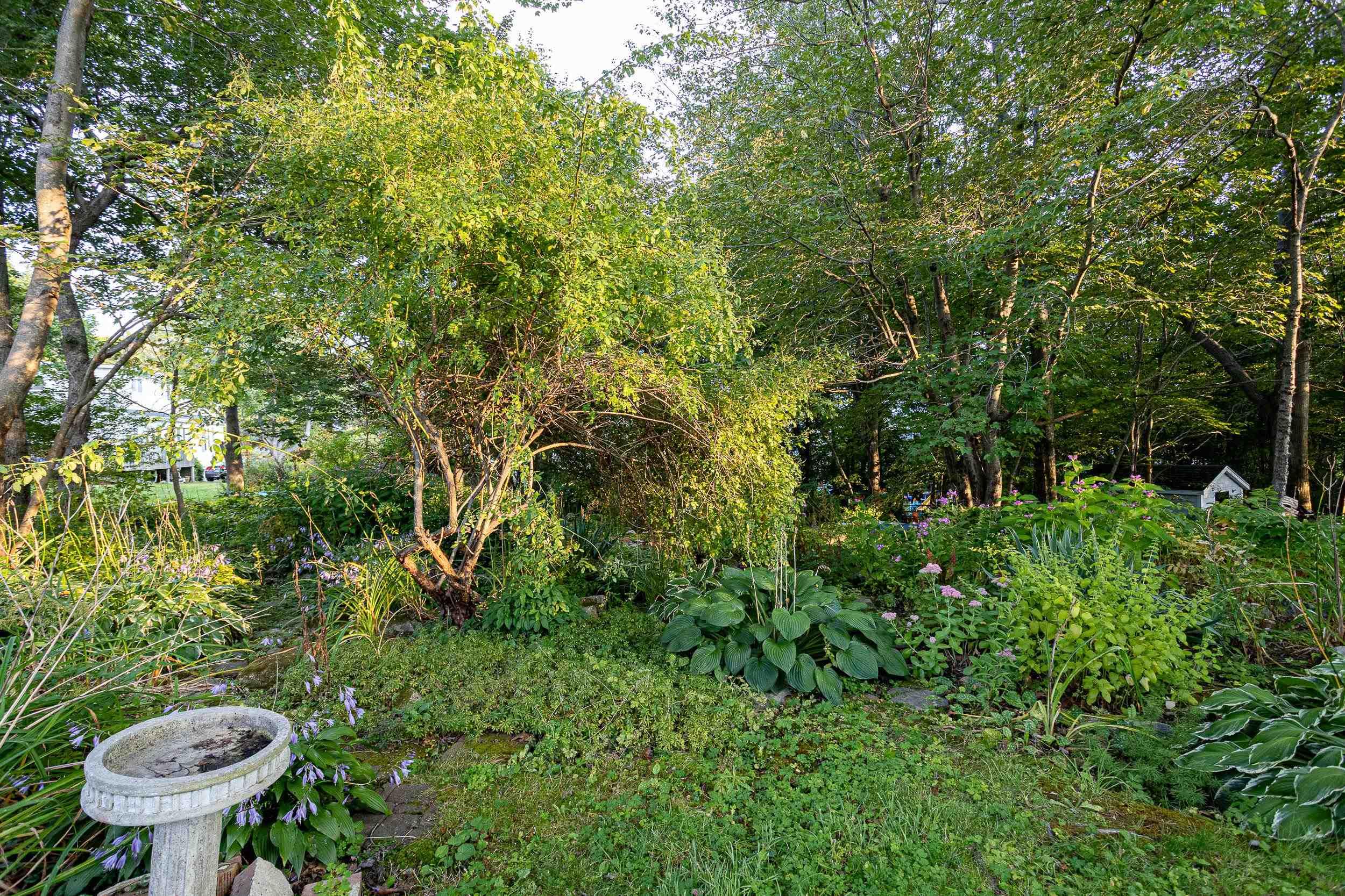 View image 21