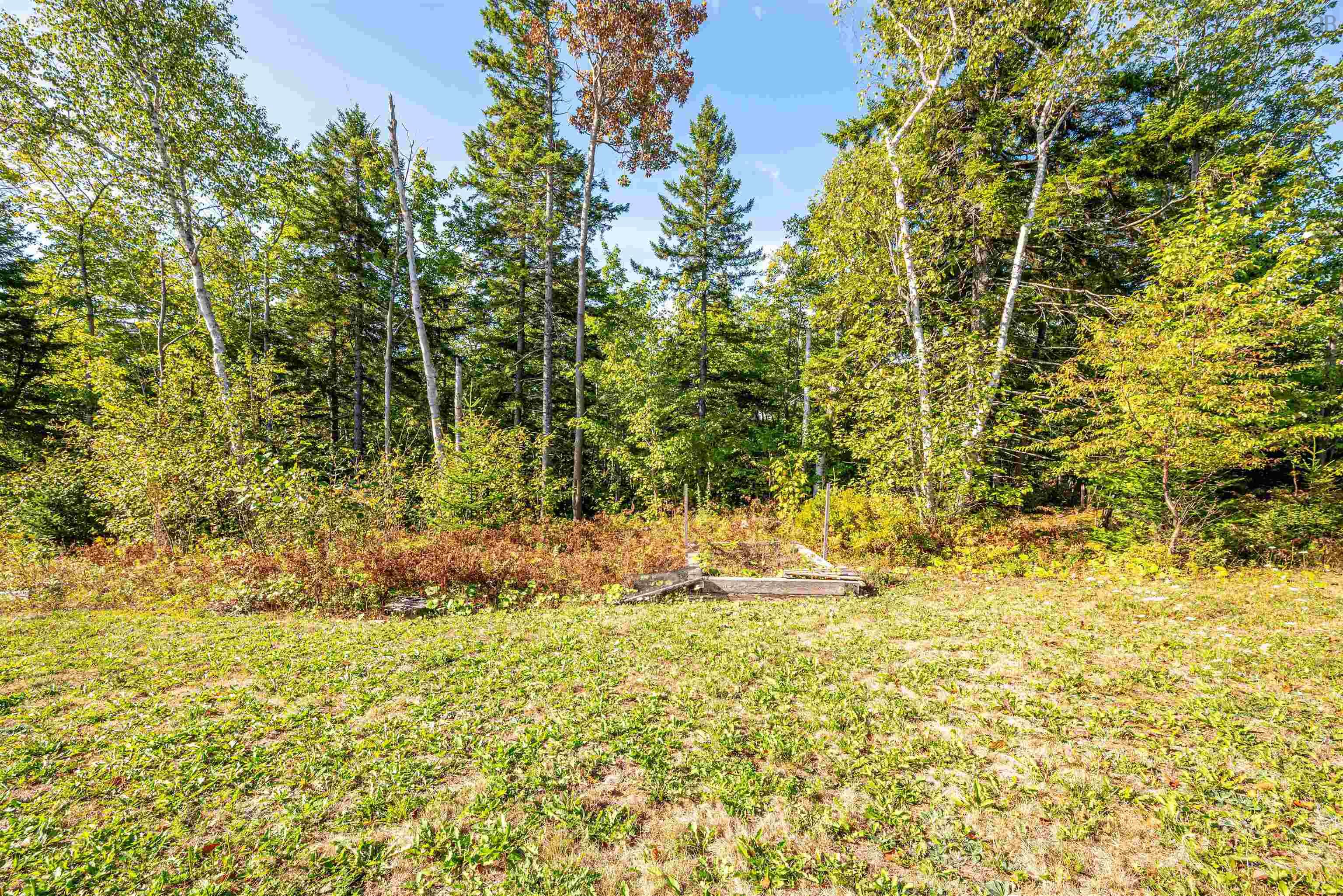 View image 18