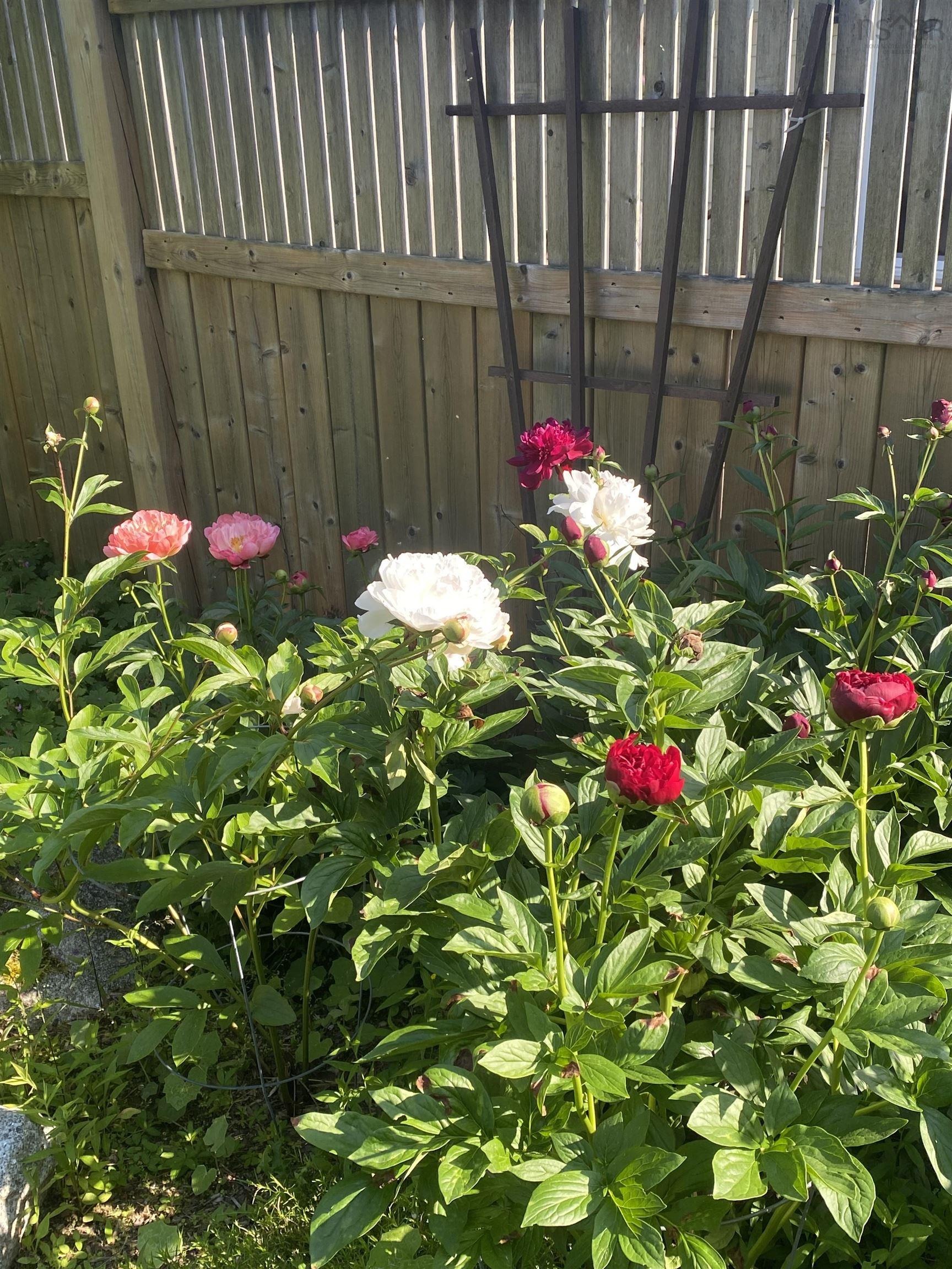 View image 24
