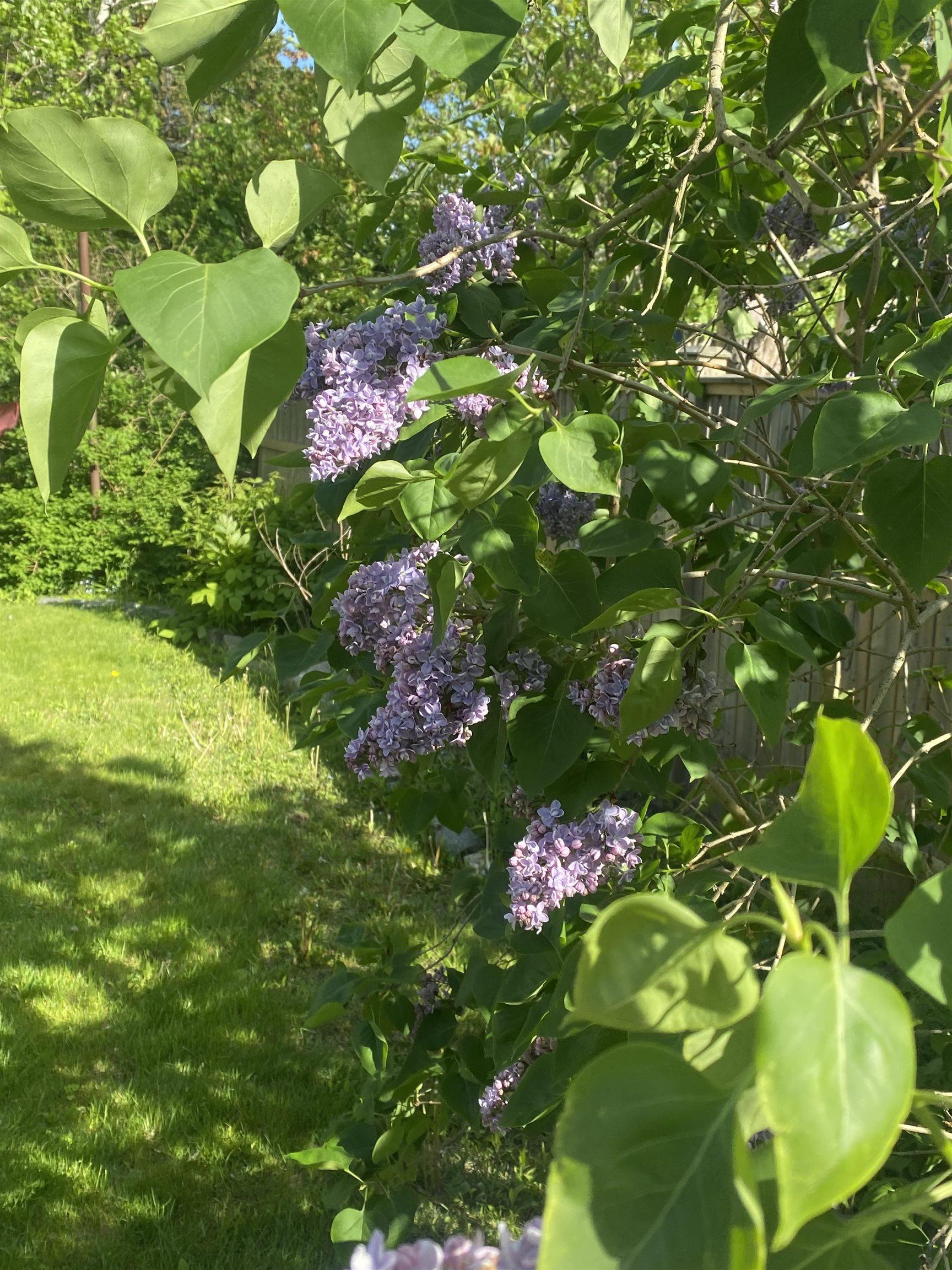 View image 25