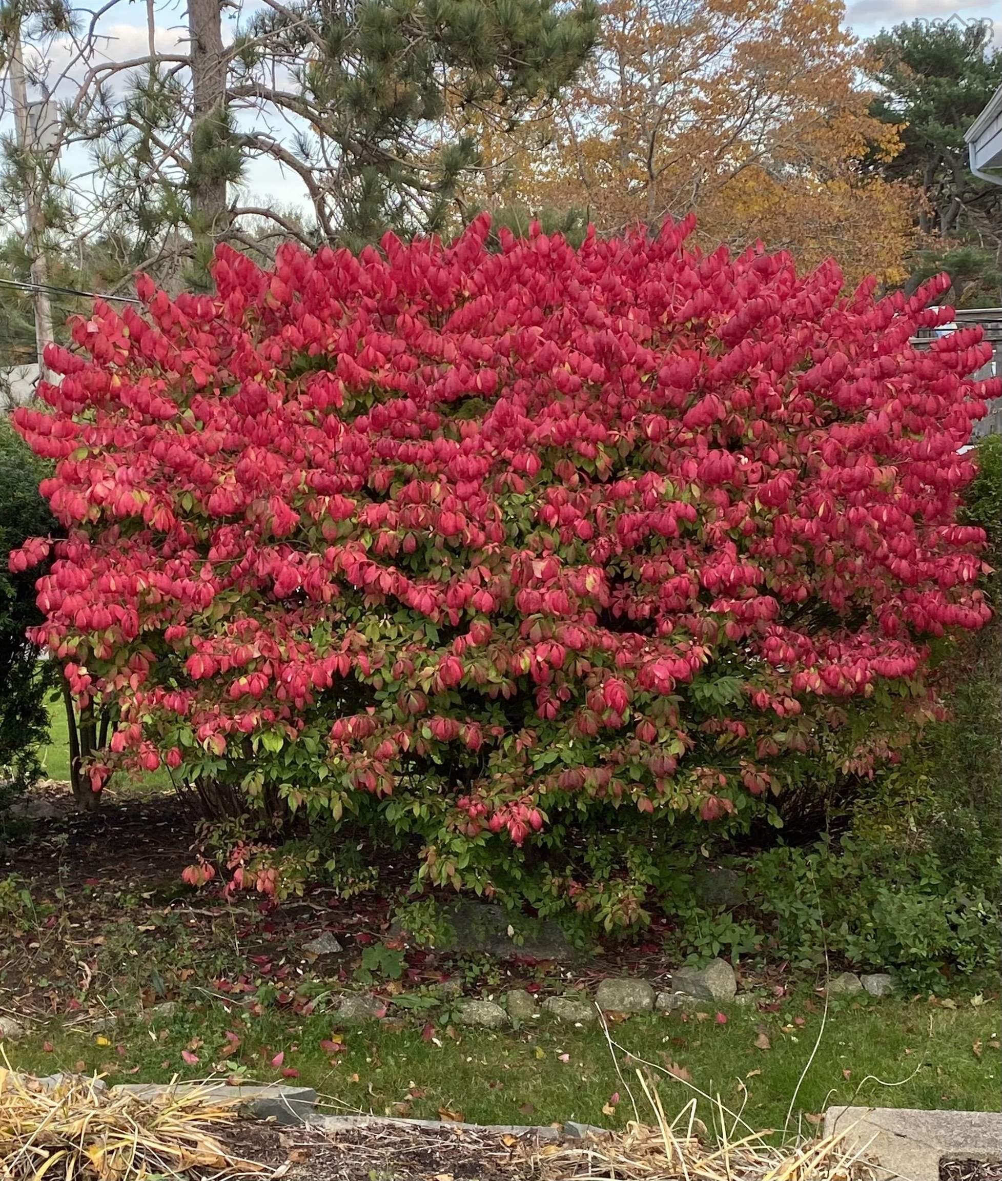 View image 27