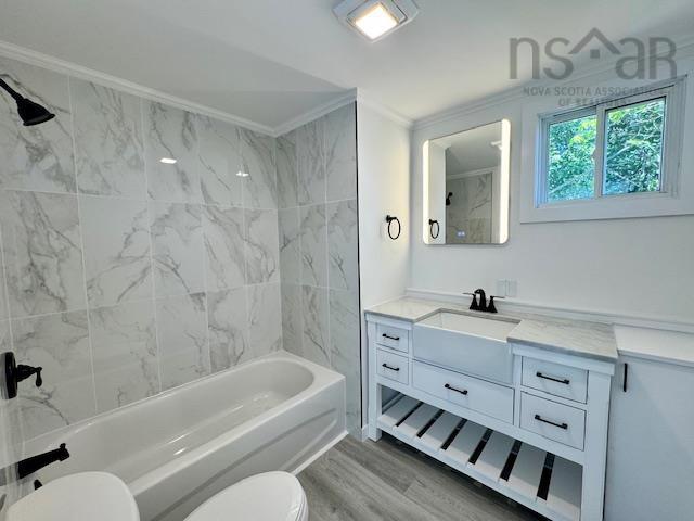 View image 11
