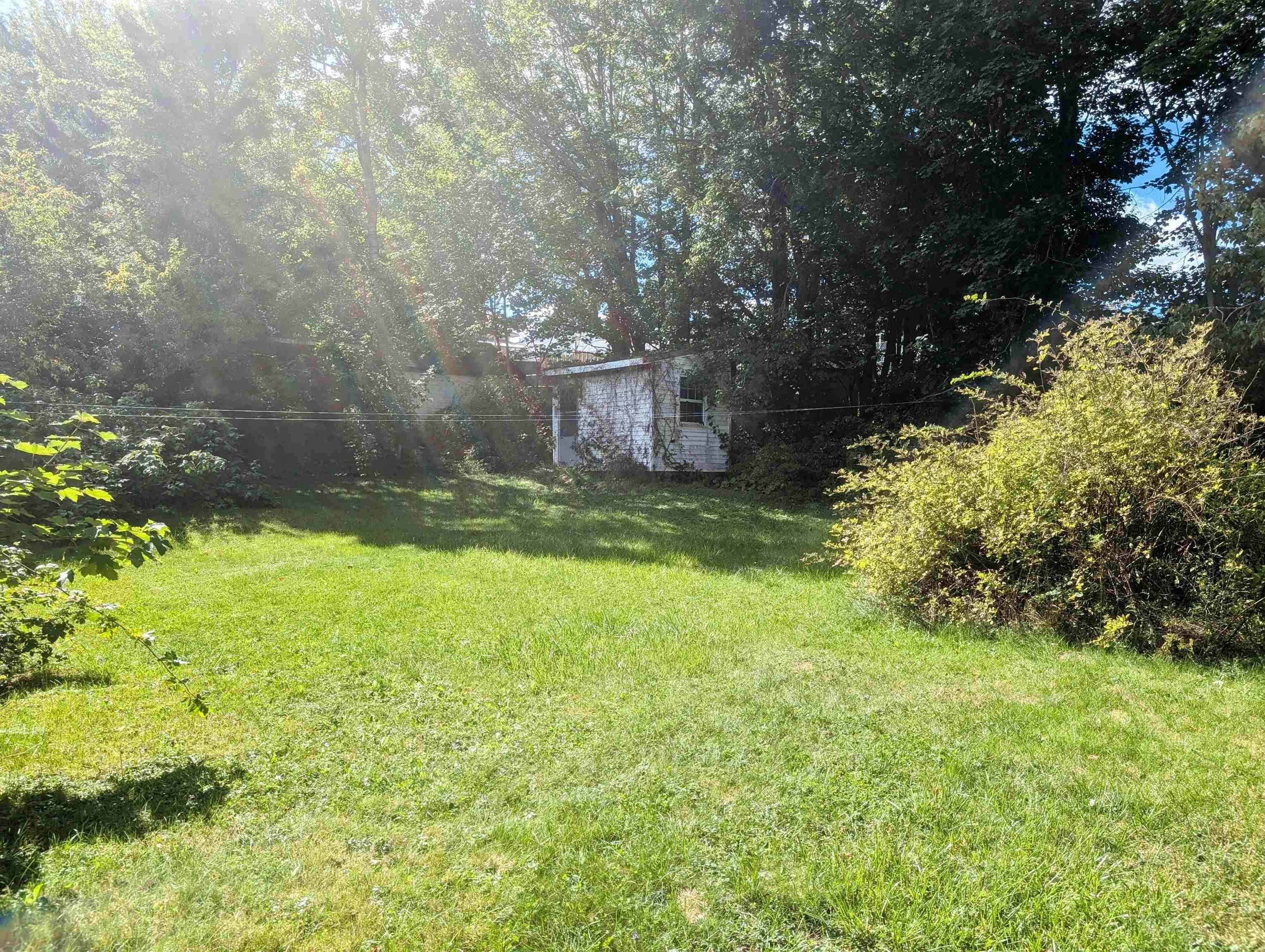 View image 3