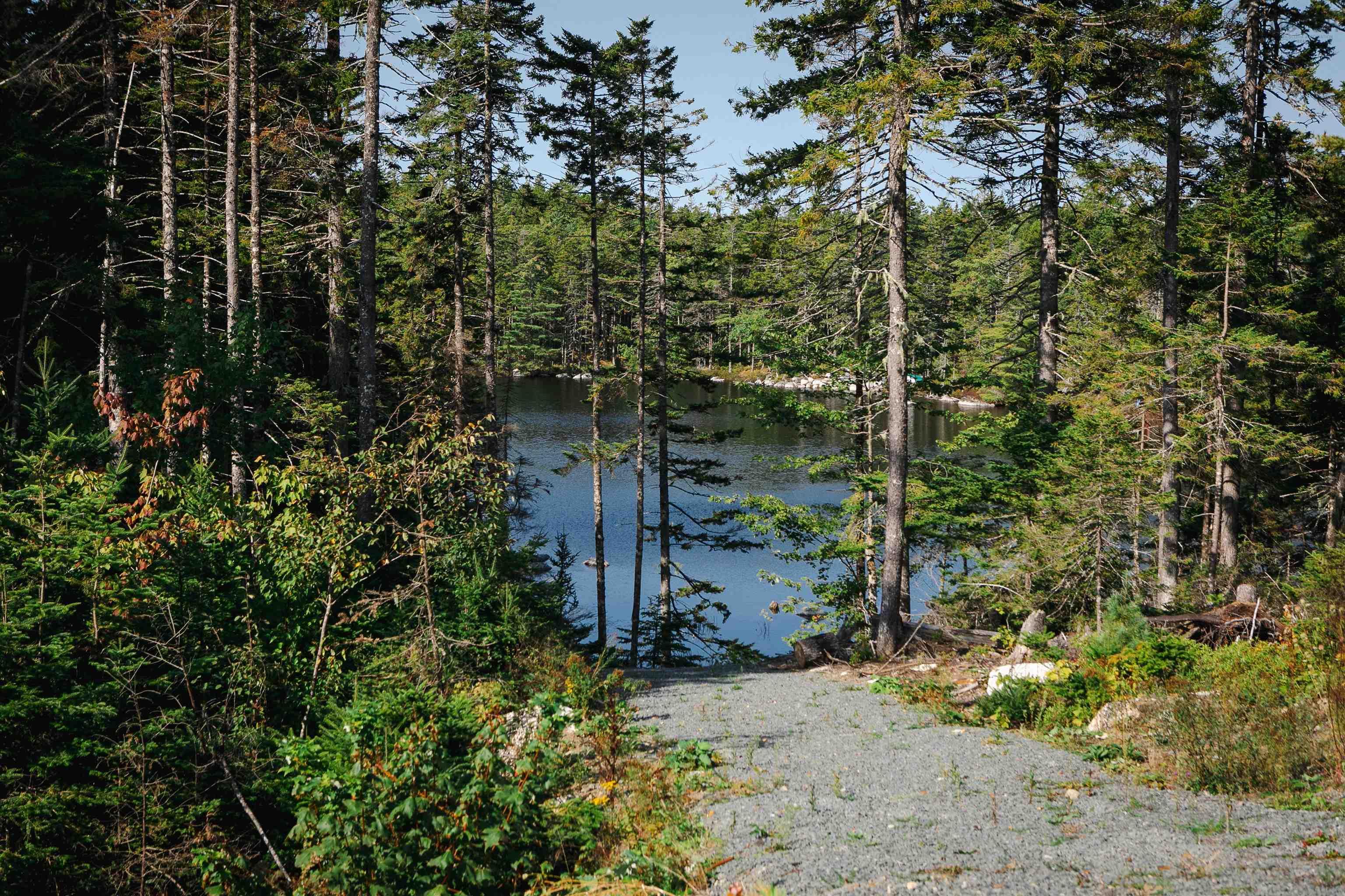 View image 43