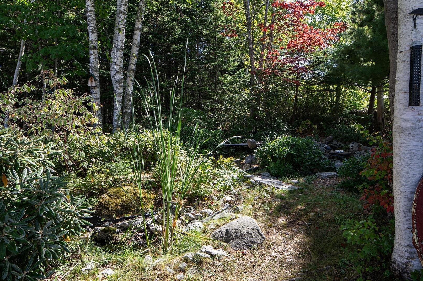 View image 35