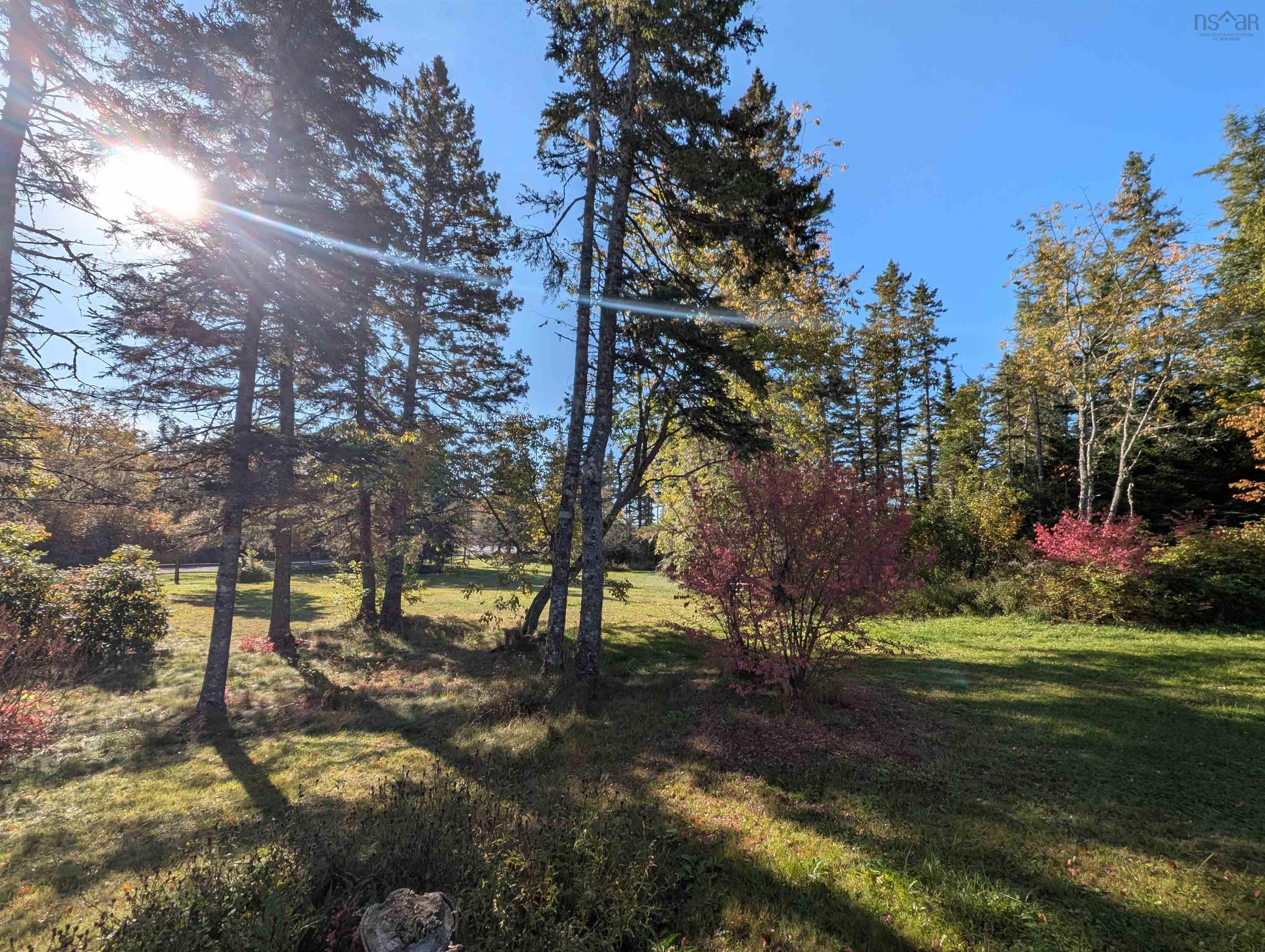 View image 29