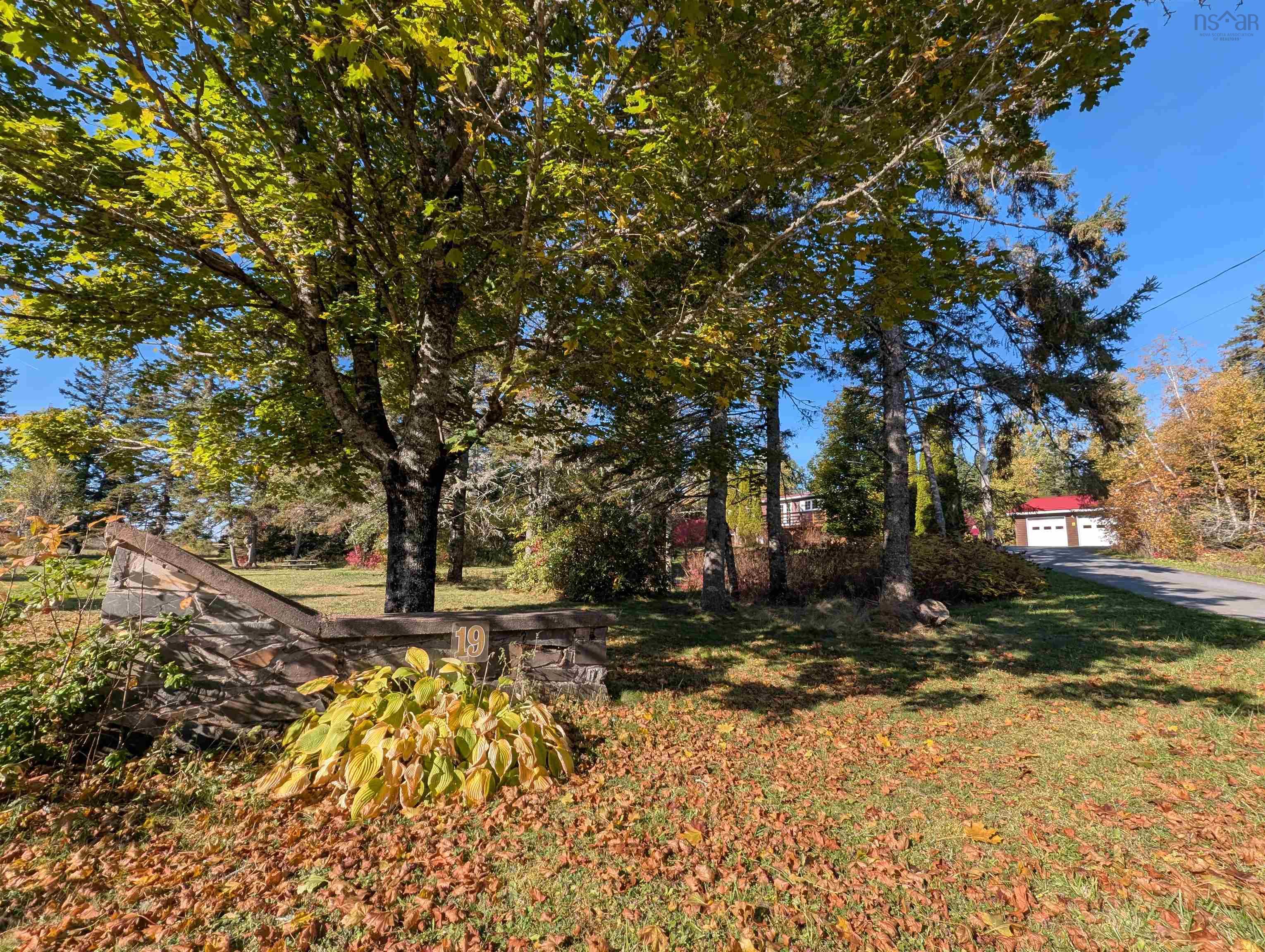 View image 31