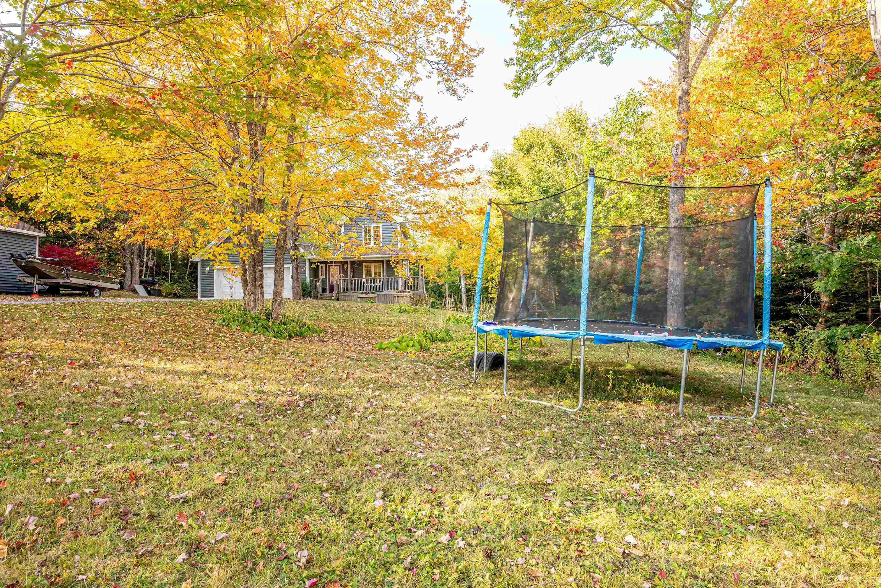 View image 41