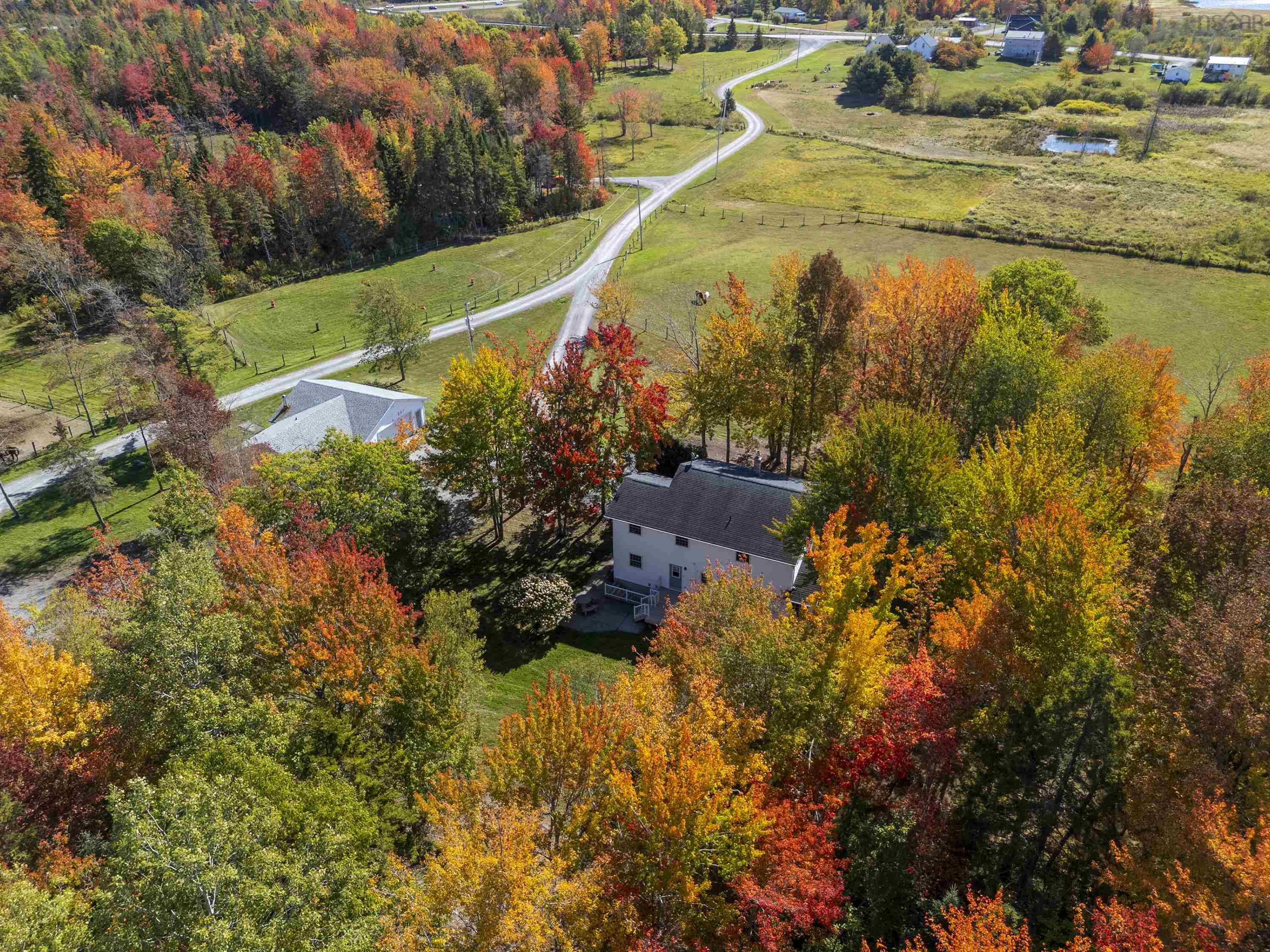 View image 12