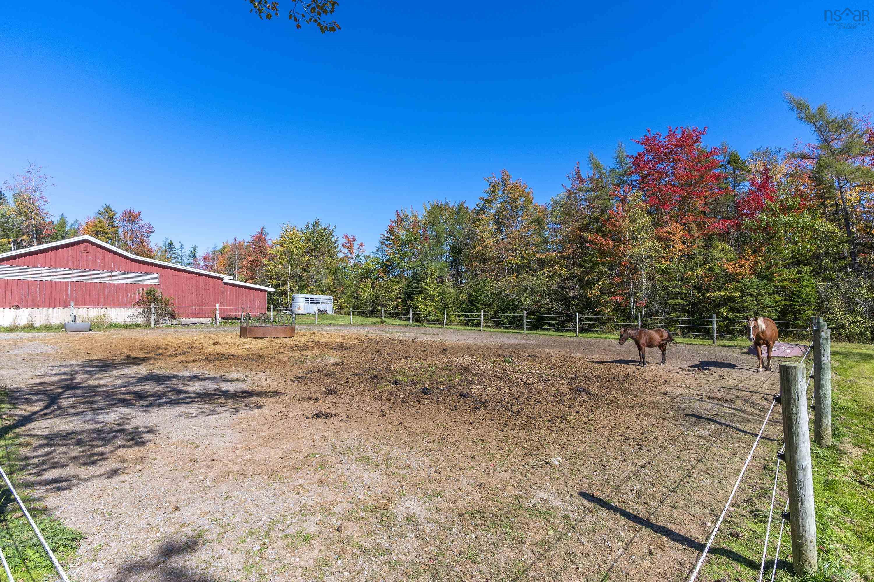 View image 35
