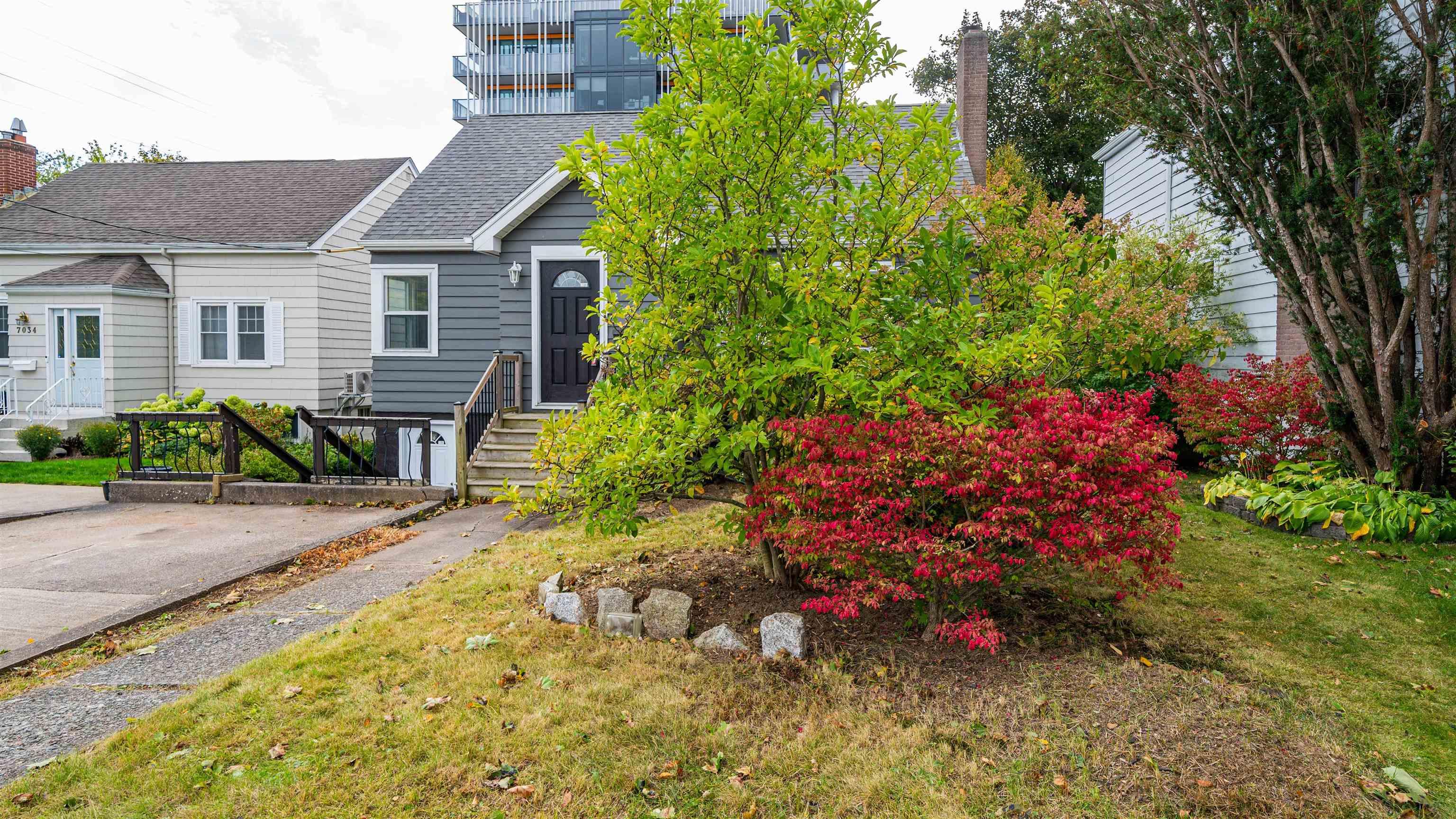 View image 12