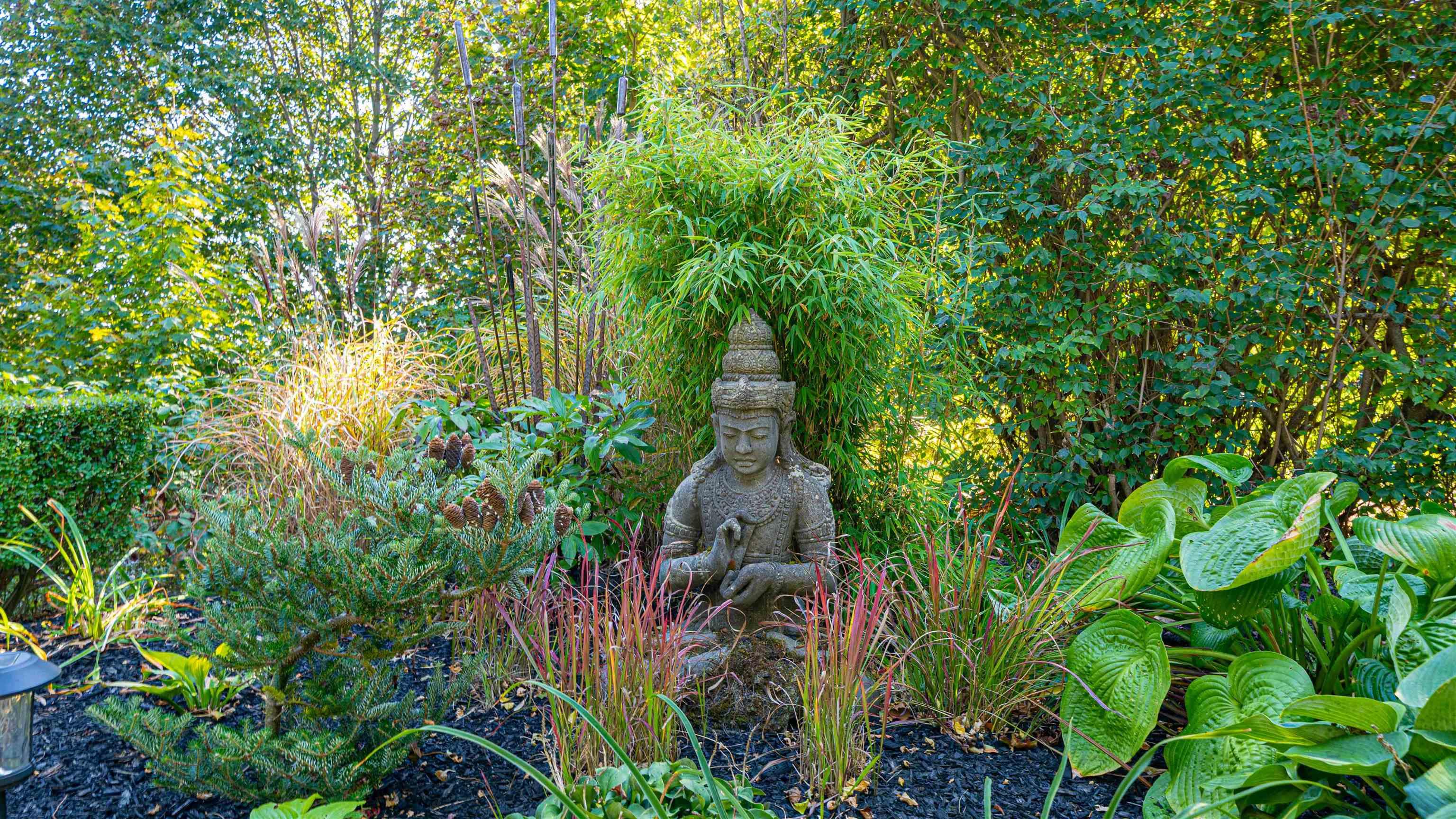 View image 29