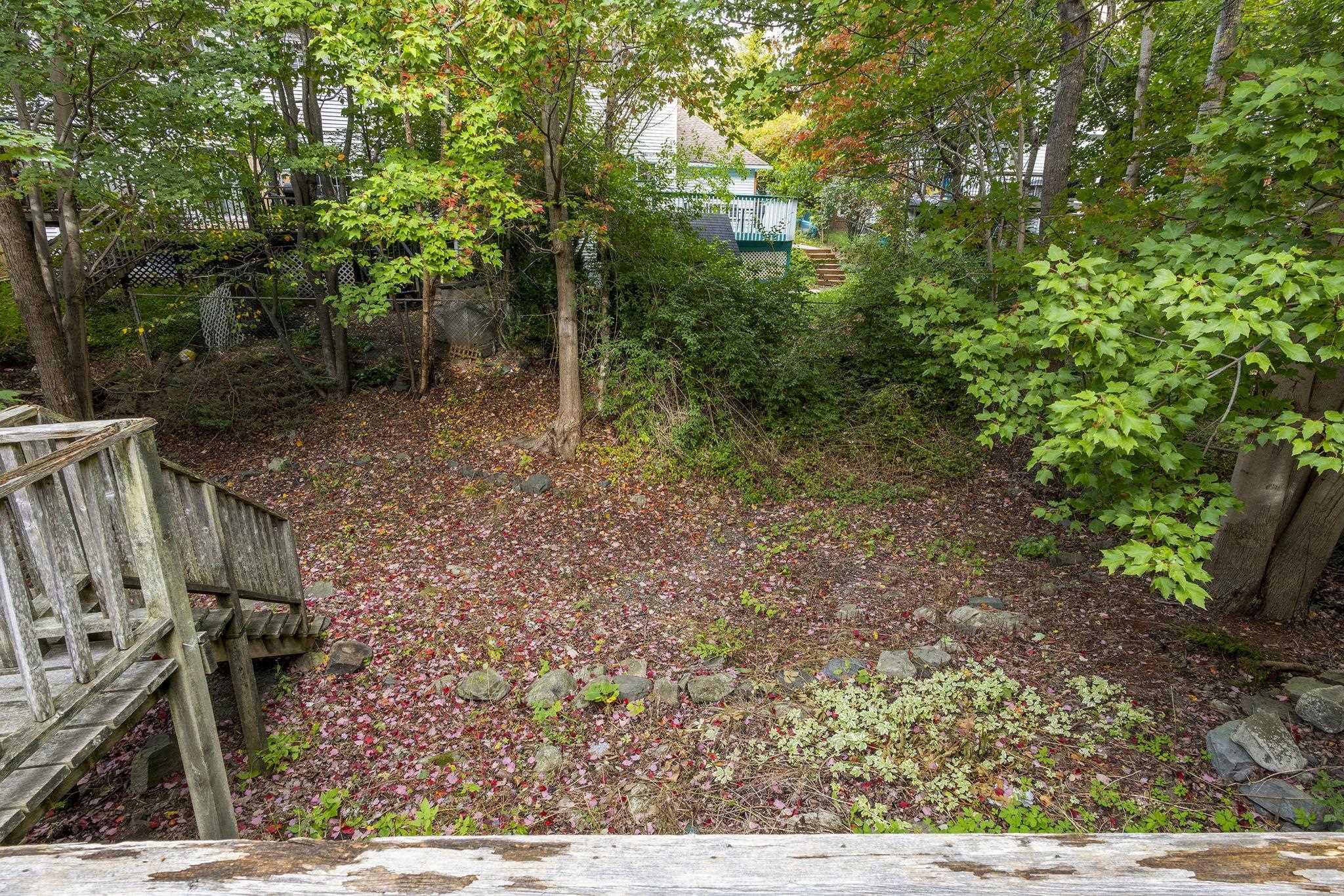 View image 41
