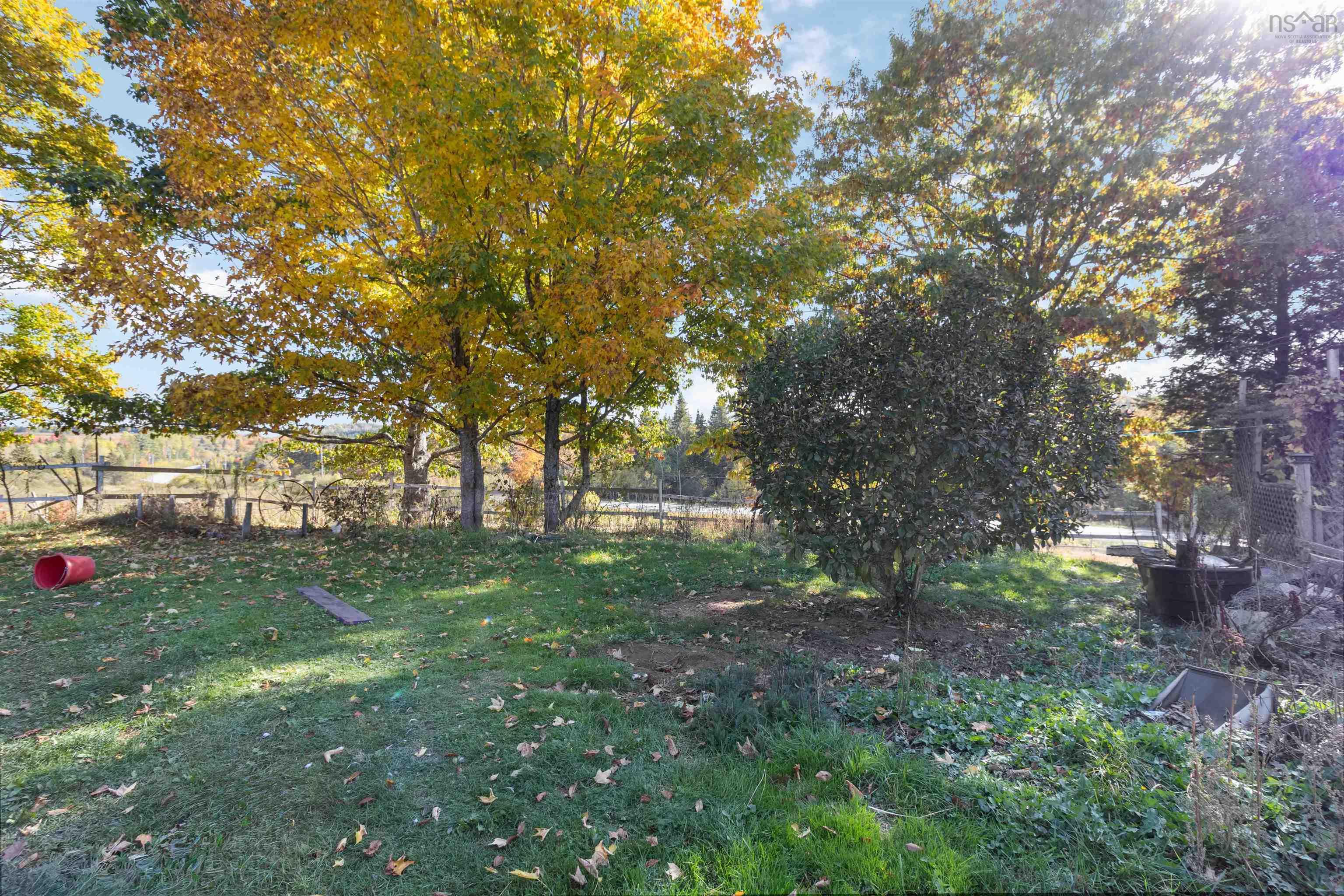 View image 15