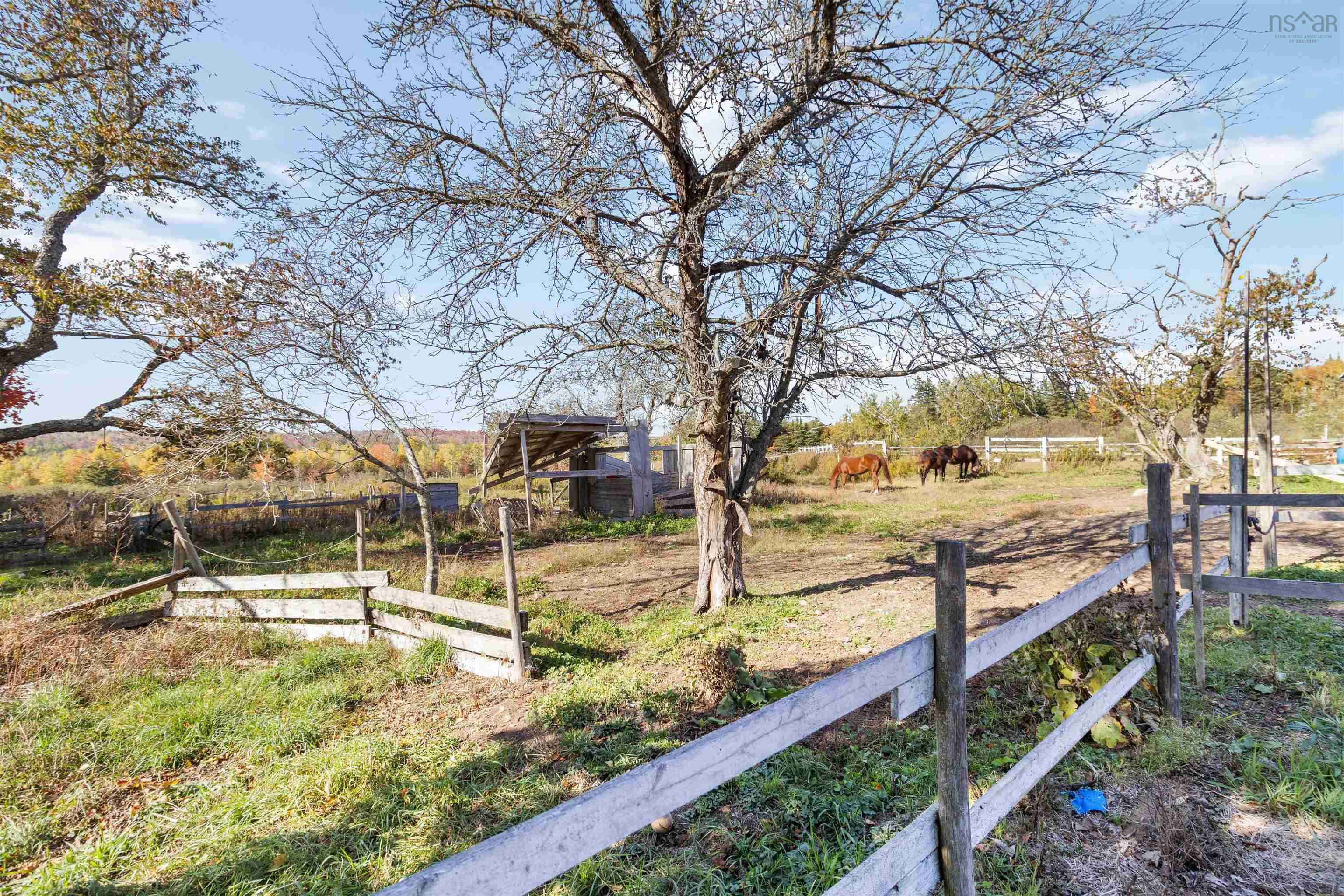 View image 17