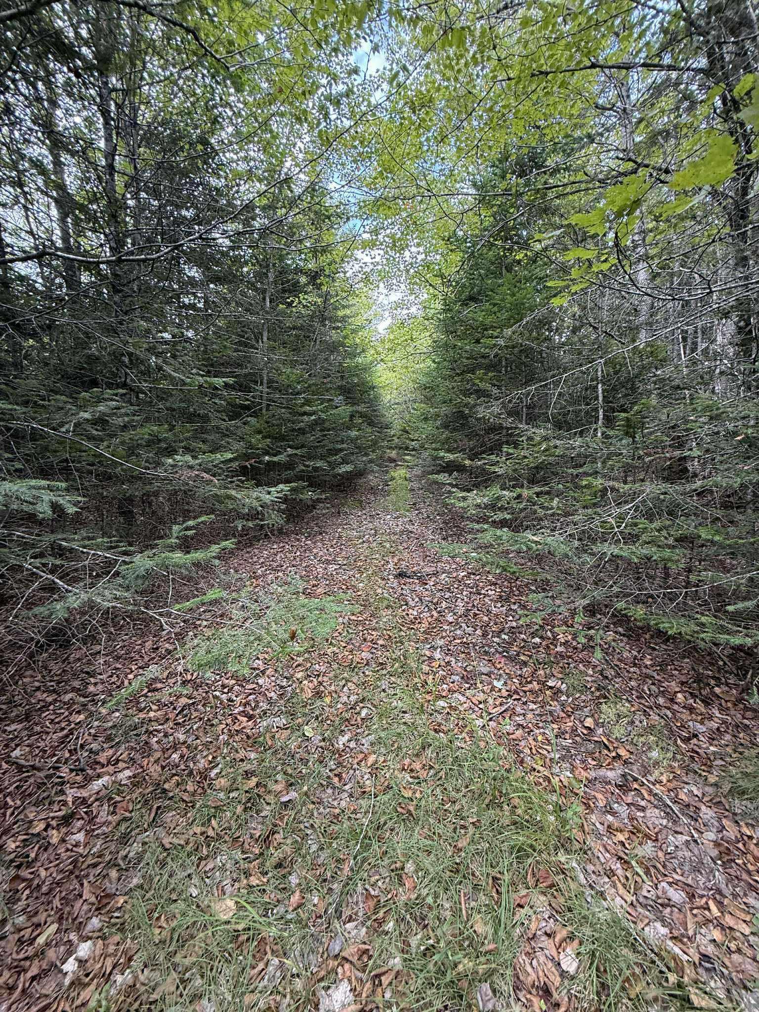 View image 39