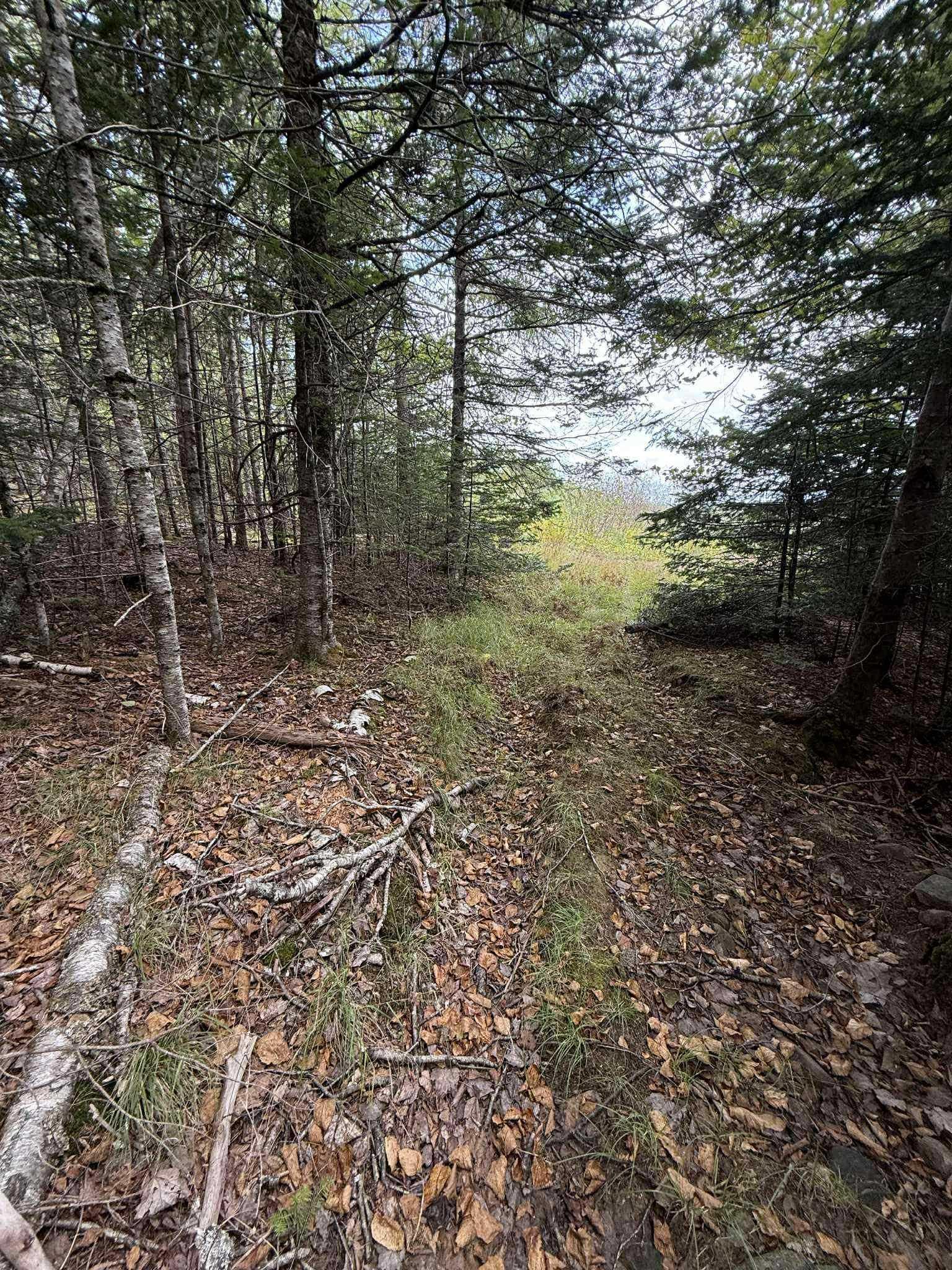 View image 40