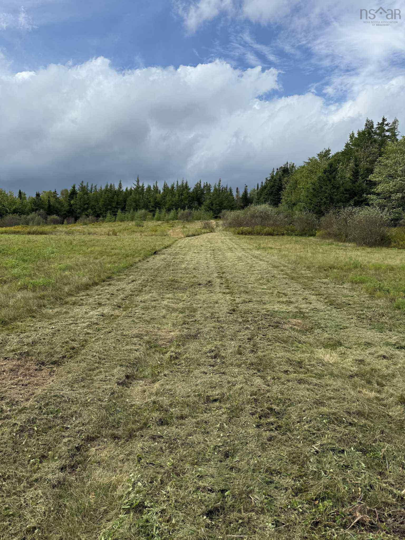 View image 41