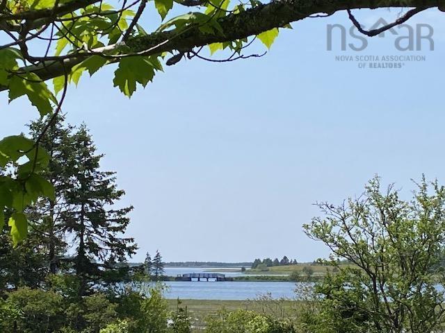 View image 46