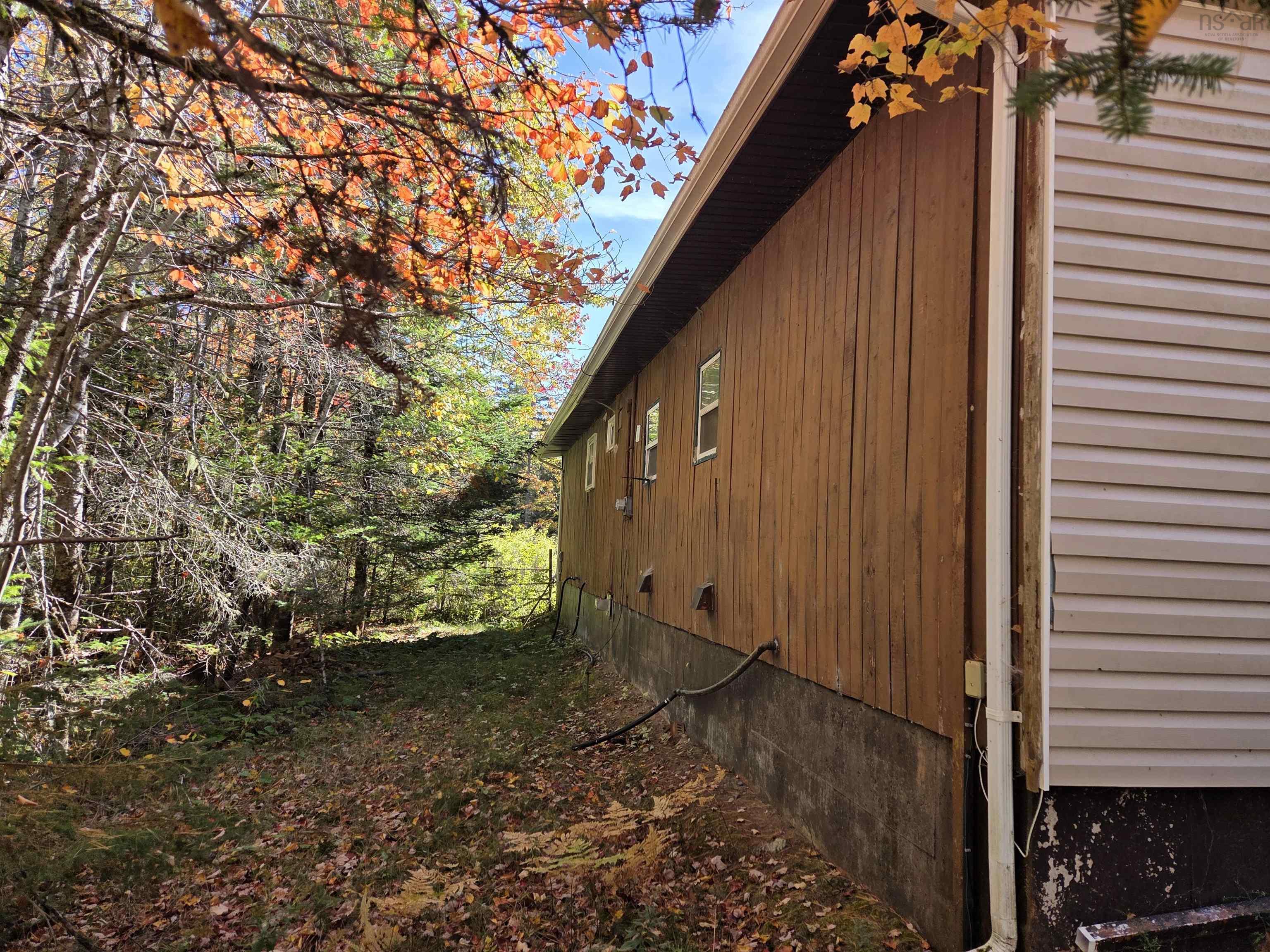View image 11