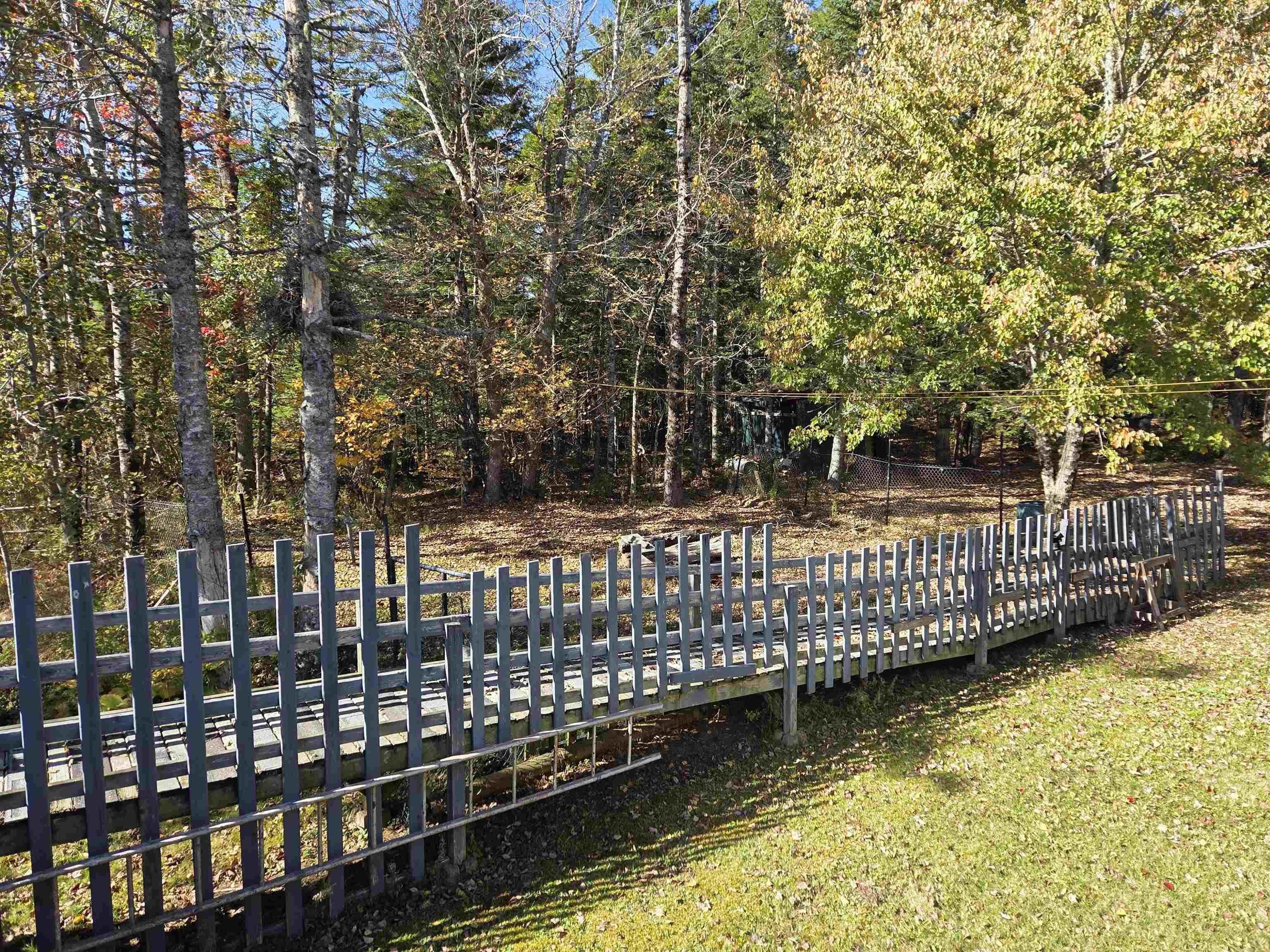 View image 14