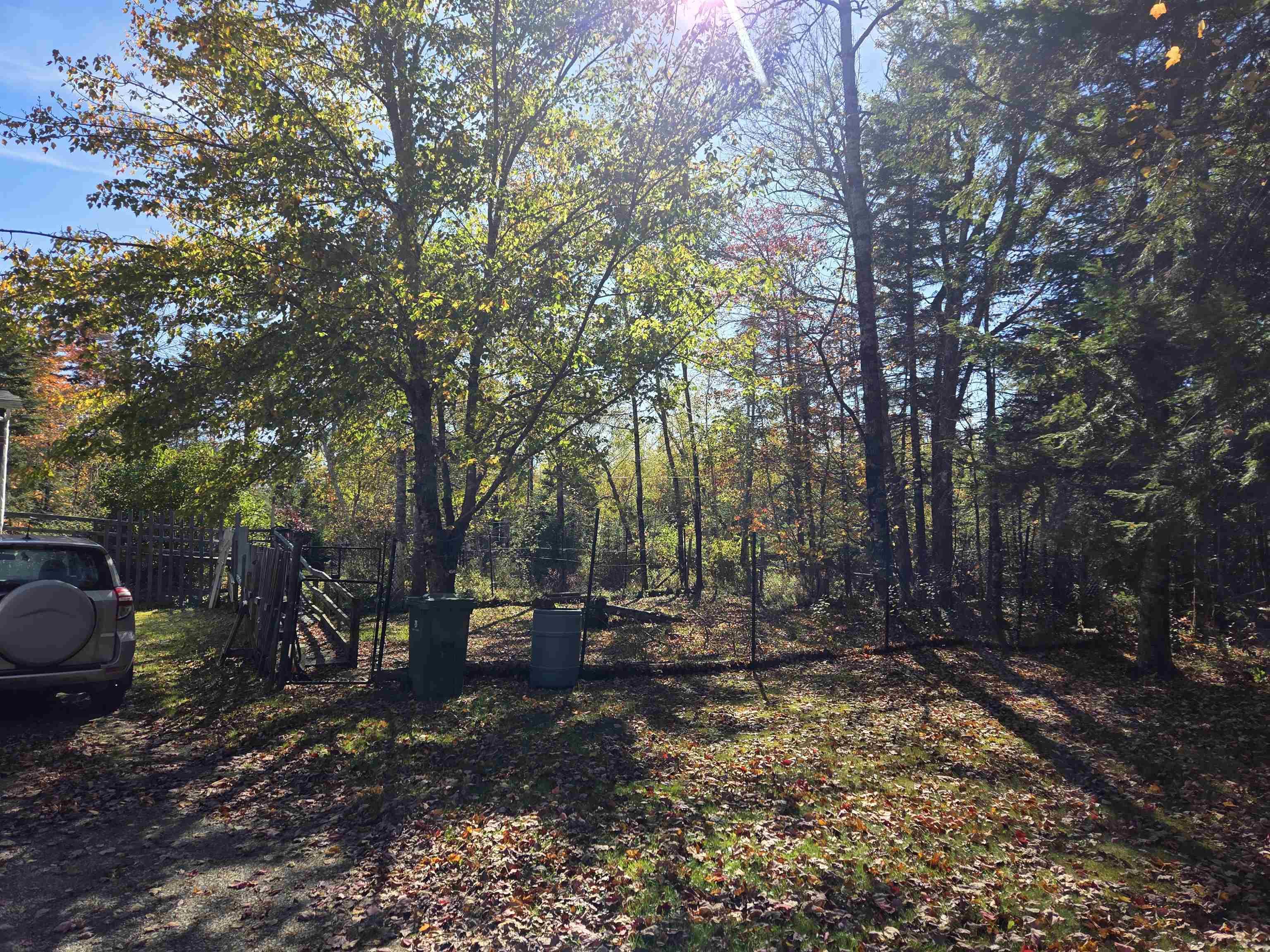 View image 17