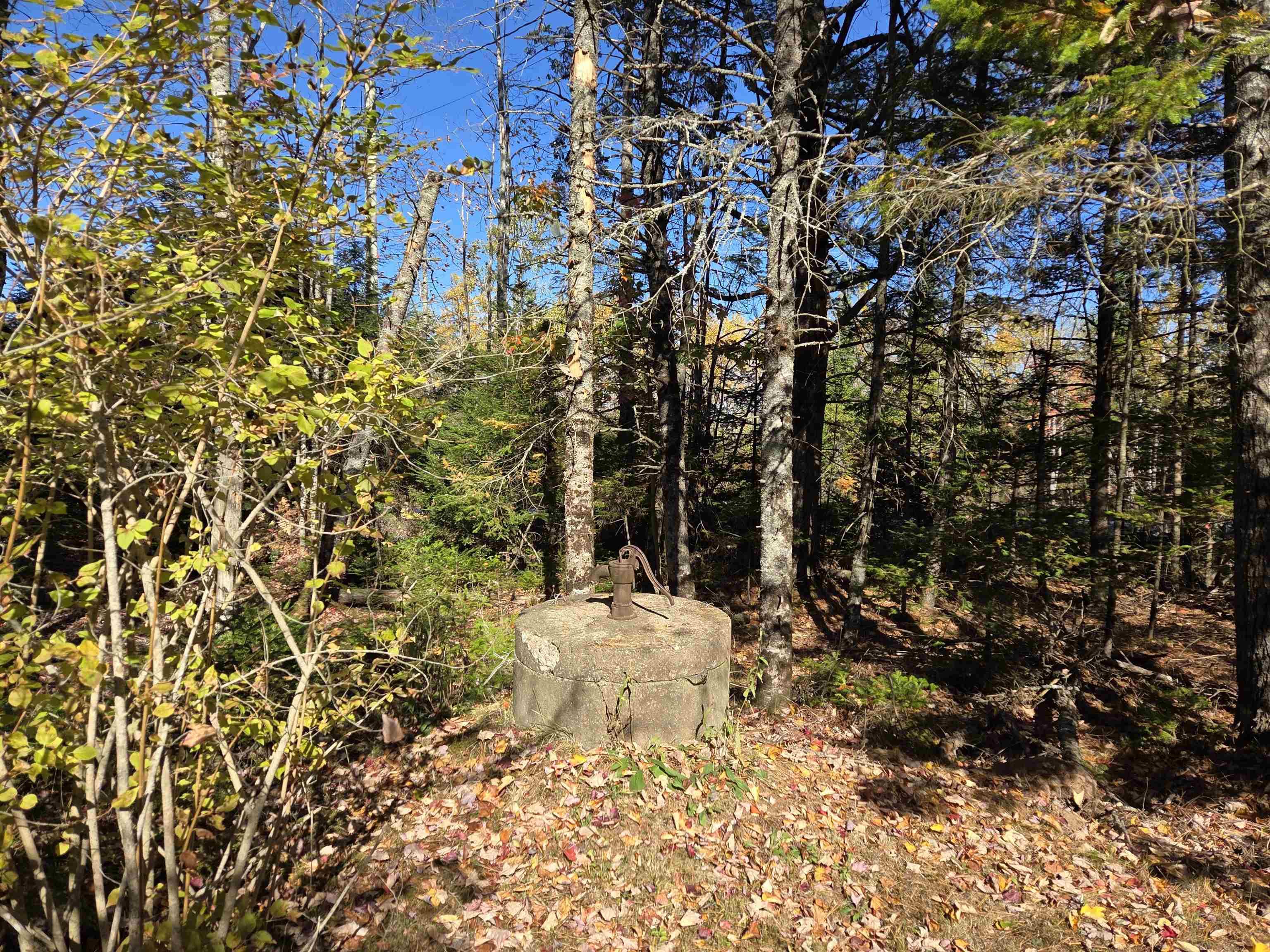 View image 18