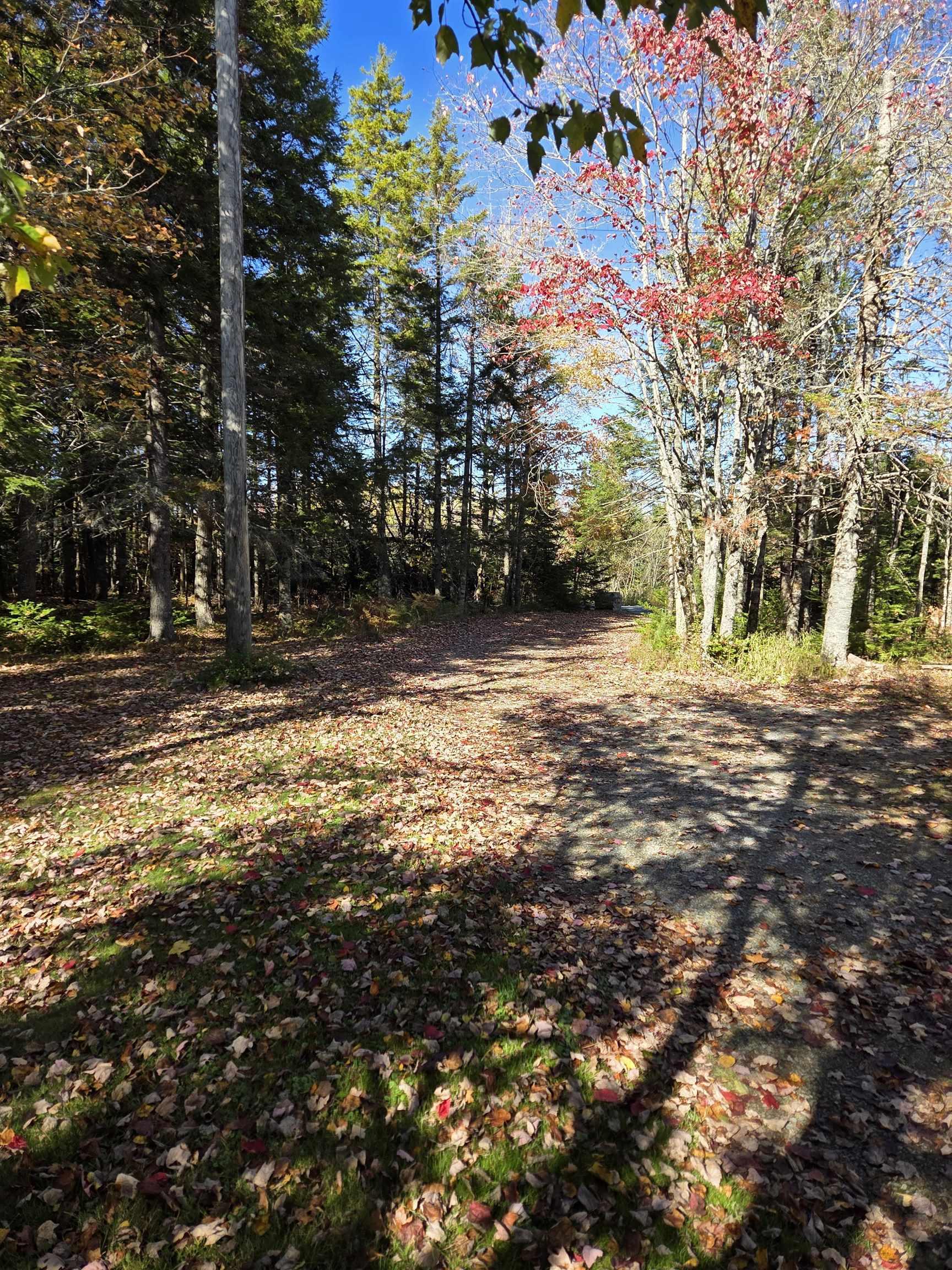 View image 19