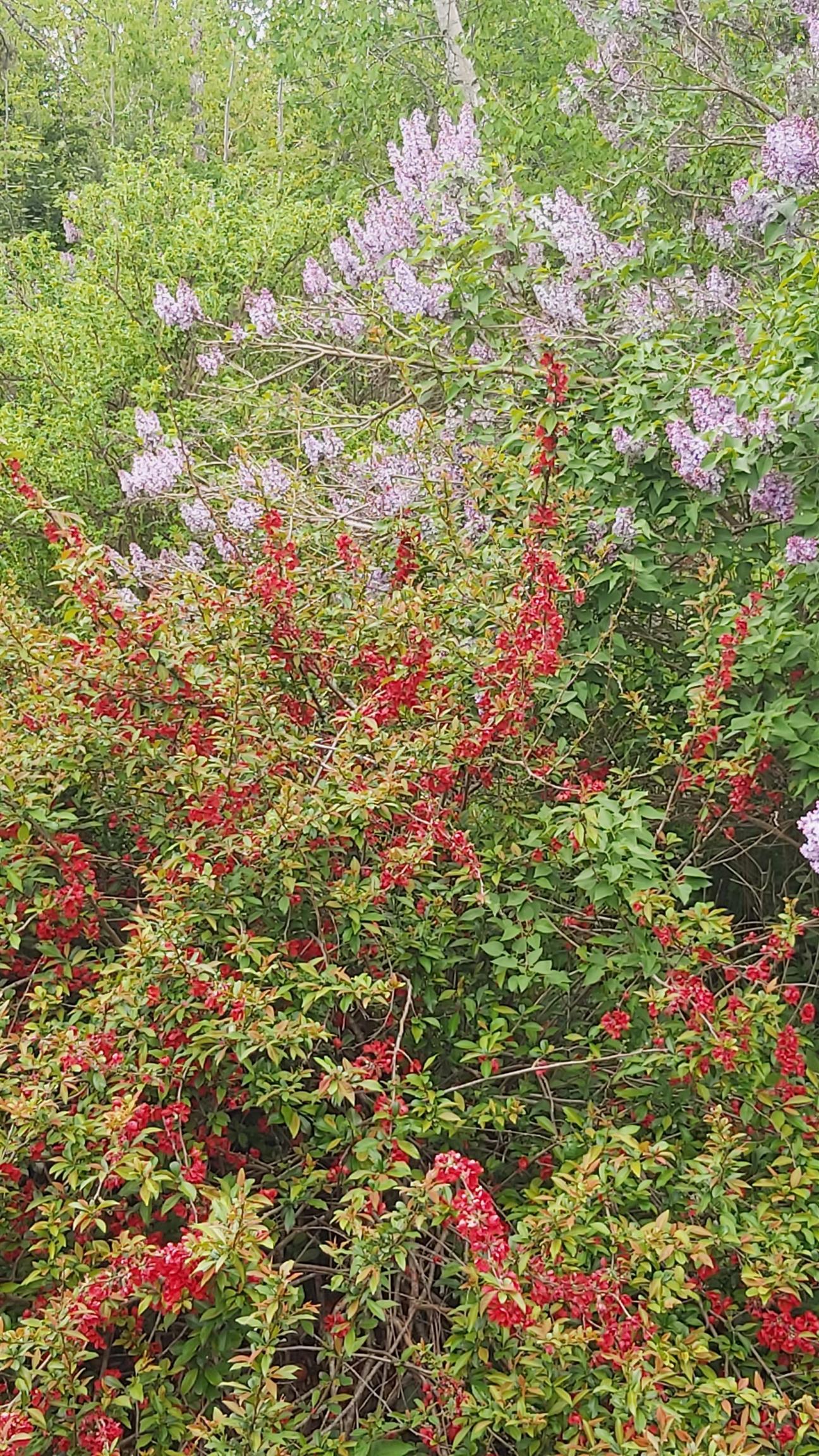 View image 25