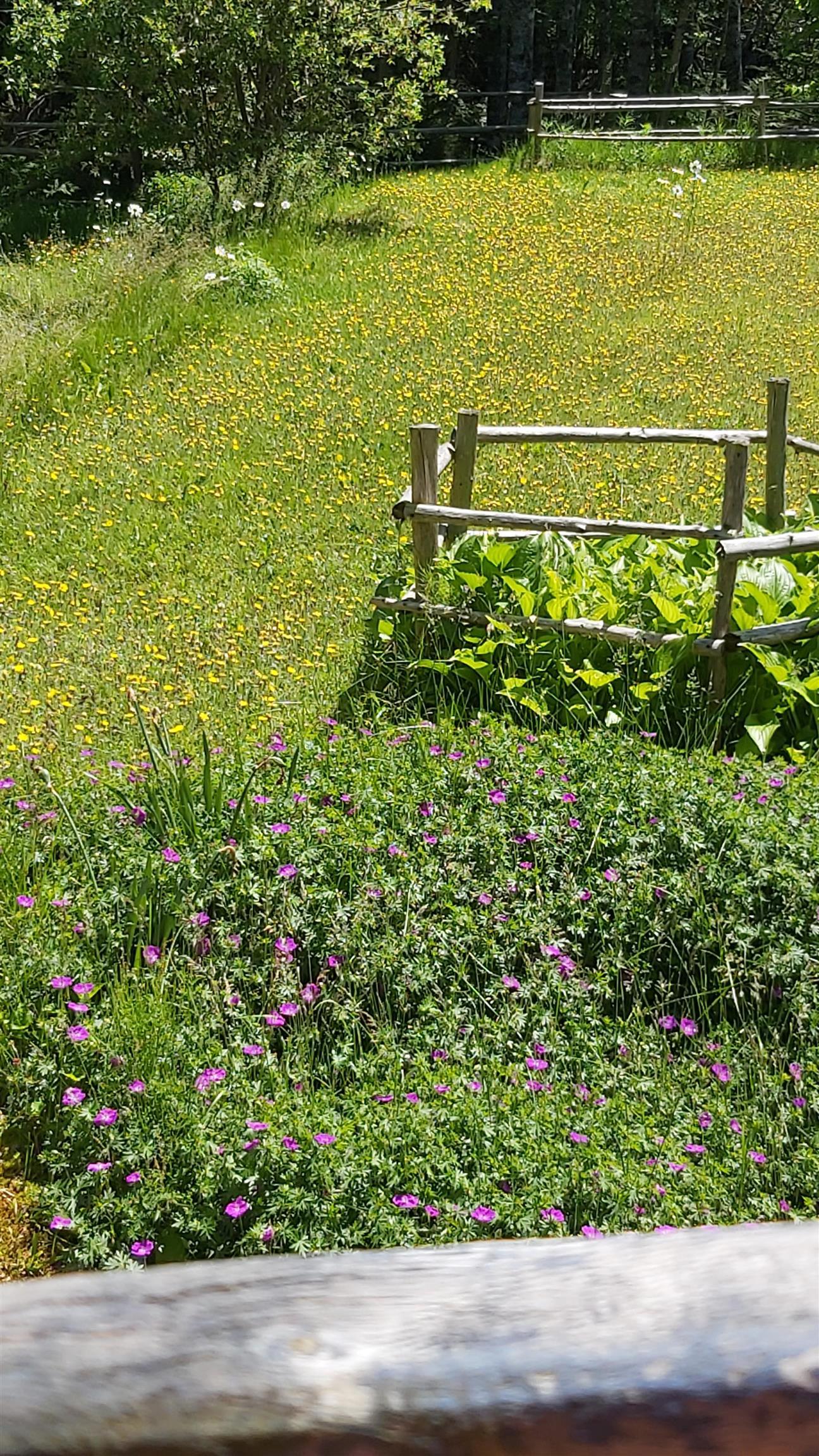 View image 27