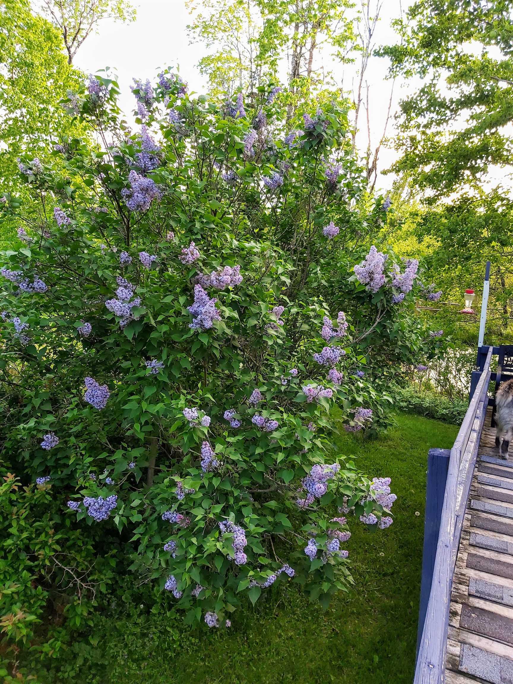 View image 32