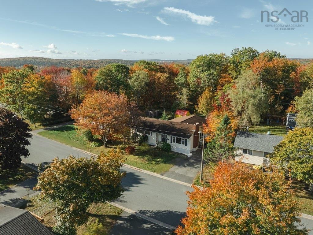 View image 11