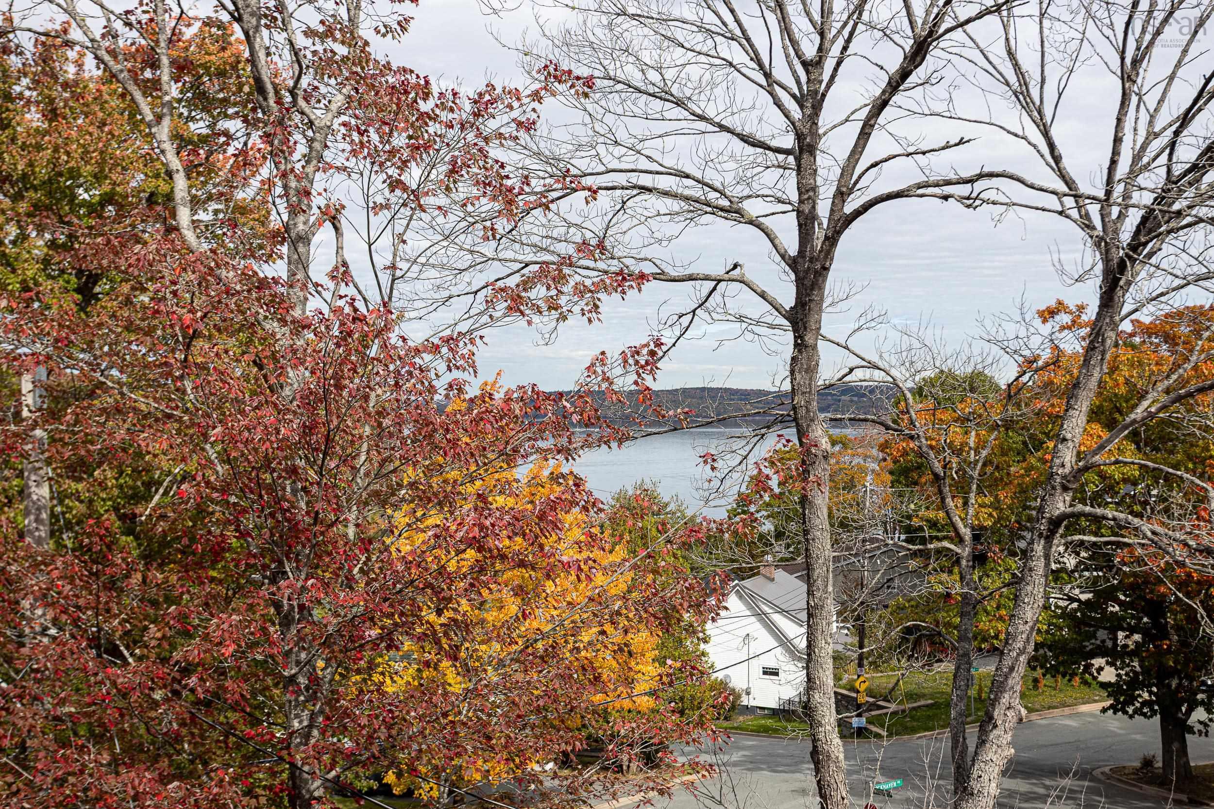 View image 25