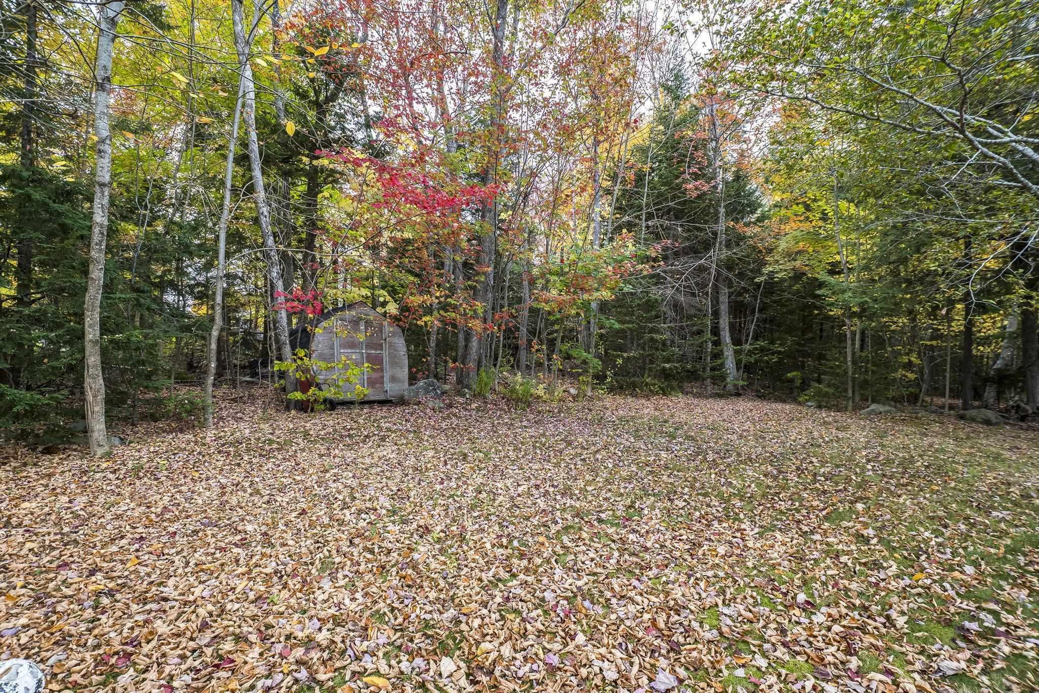 View image 38