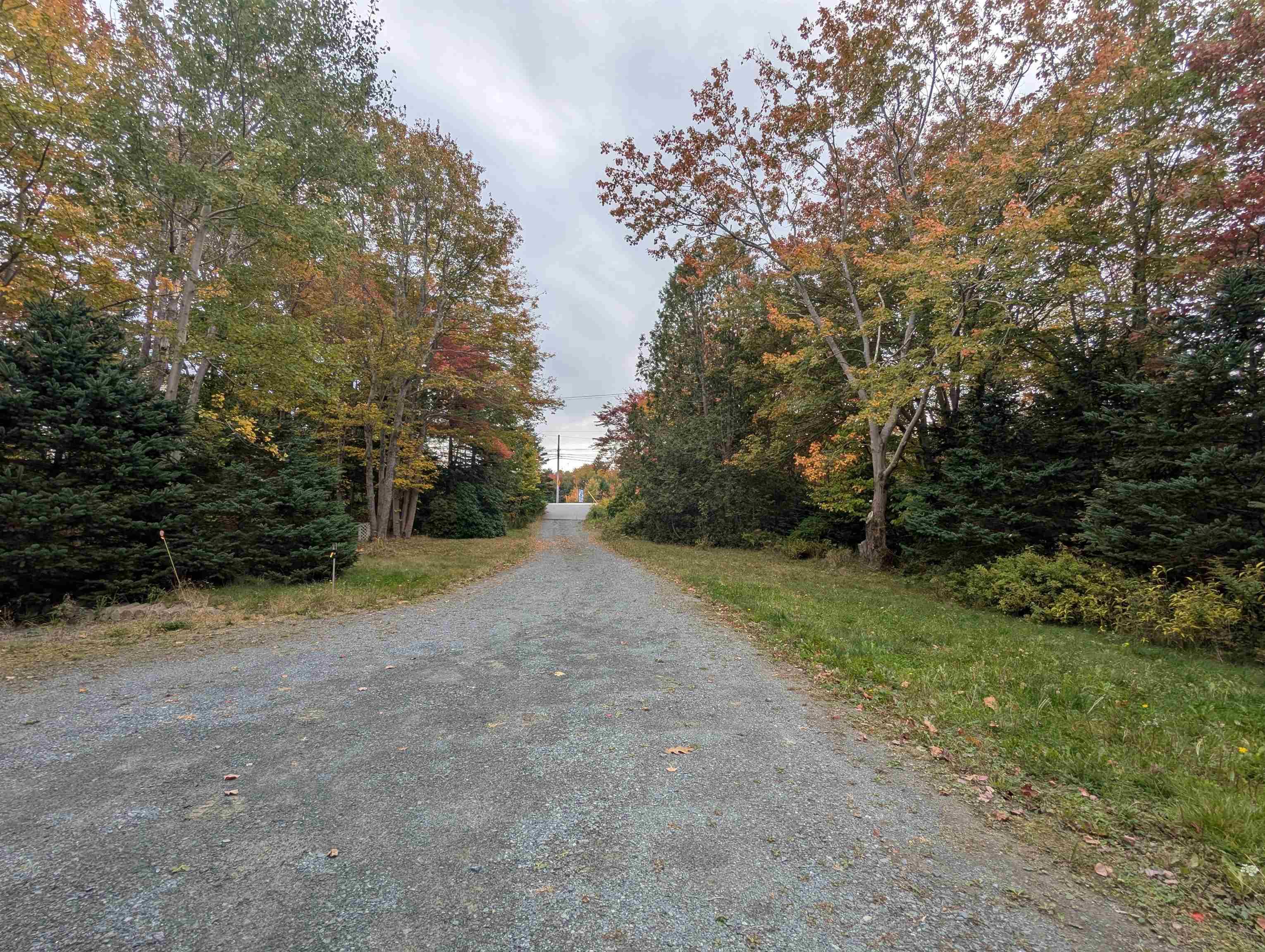 View image 15
