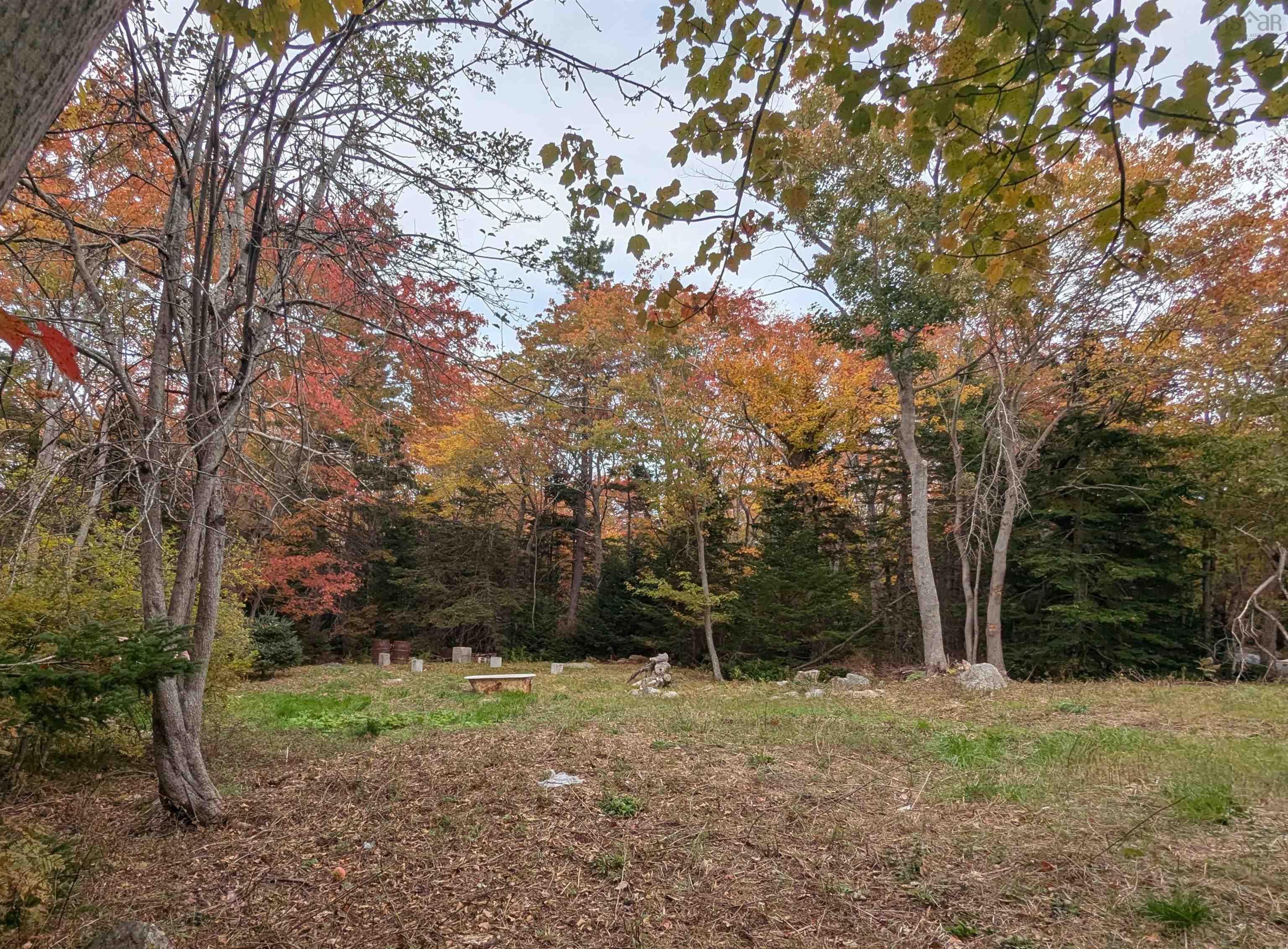 View image 17