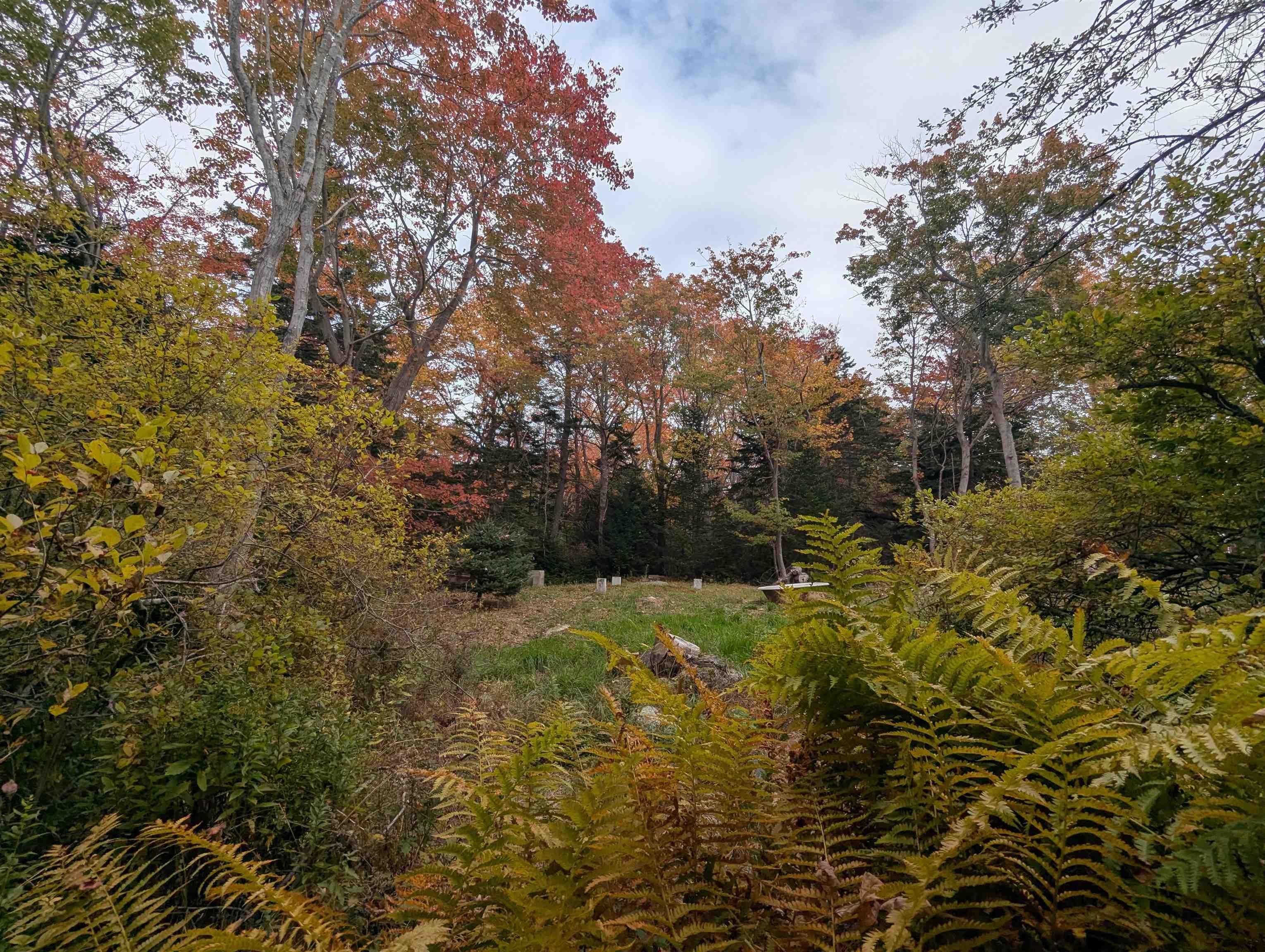 View image 18